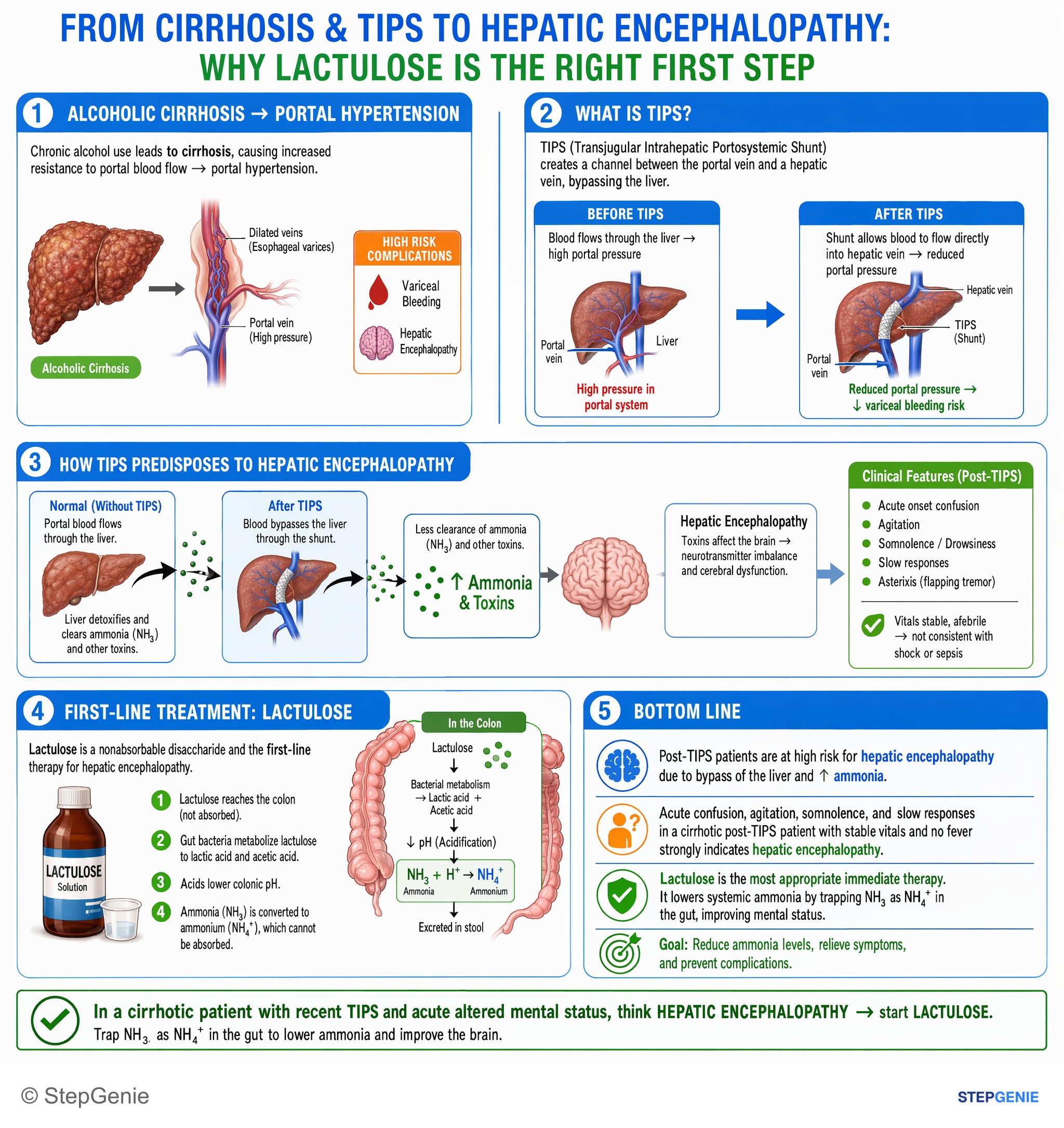 Hepatic disorders — StepGenie USMLE Step 2 explanation infographic