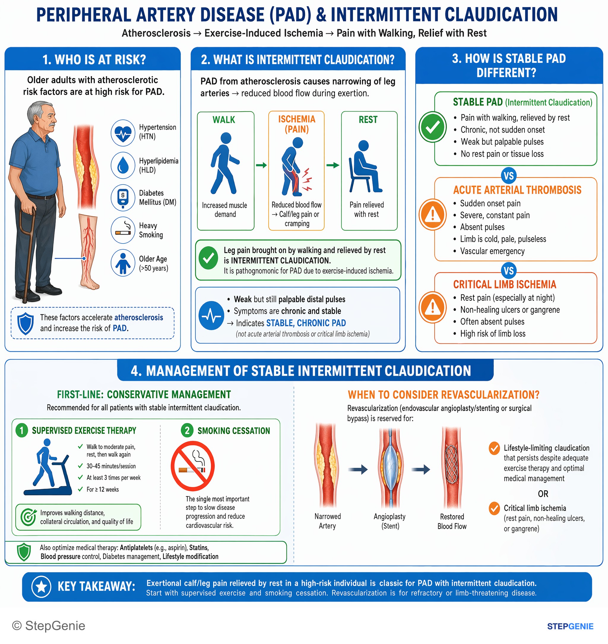 Aortic and peripheral artery diseases — StepGenie USMLE Step 2 explanation infographic