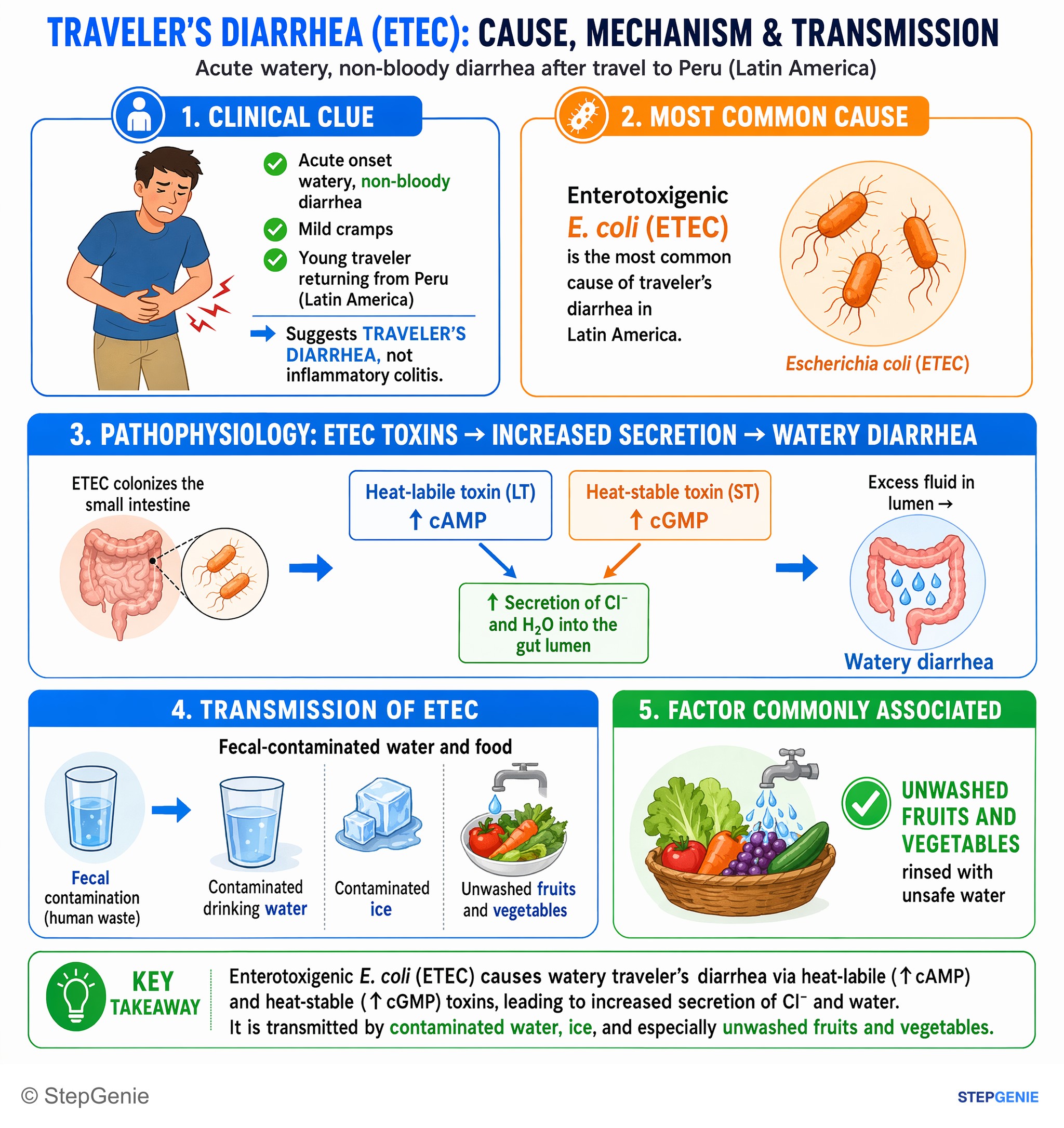 Bacterial infections — StepGenie USMLE Step 1 explanation infographic