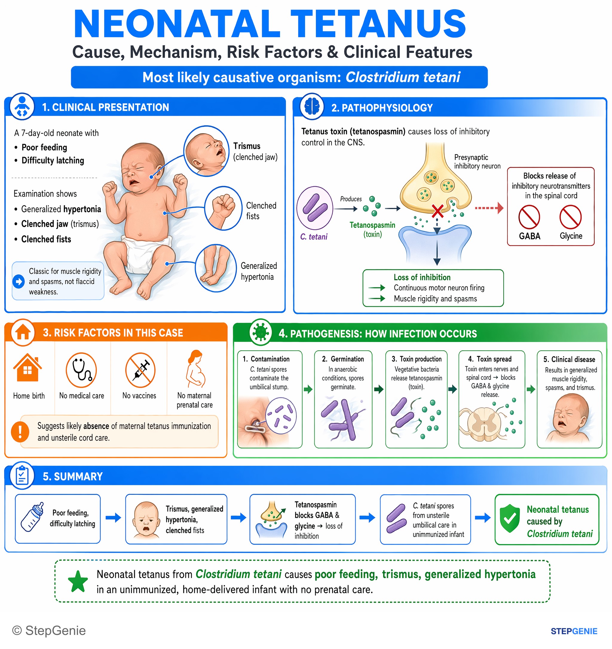 Bacterial infections — StepGenie USMLE Step 1 explanation infographic