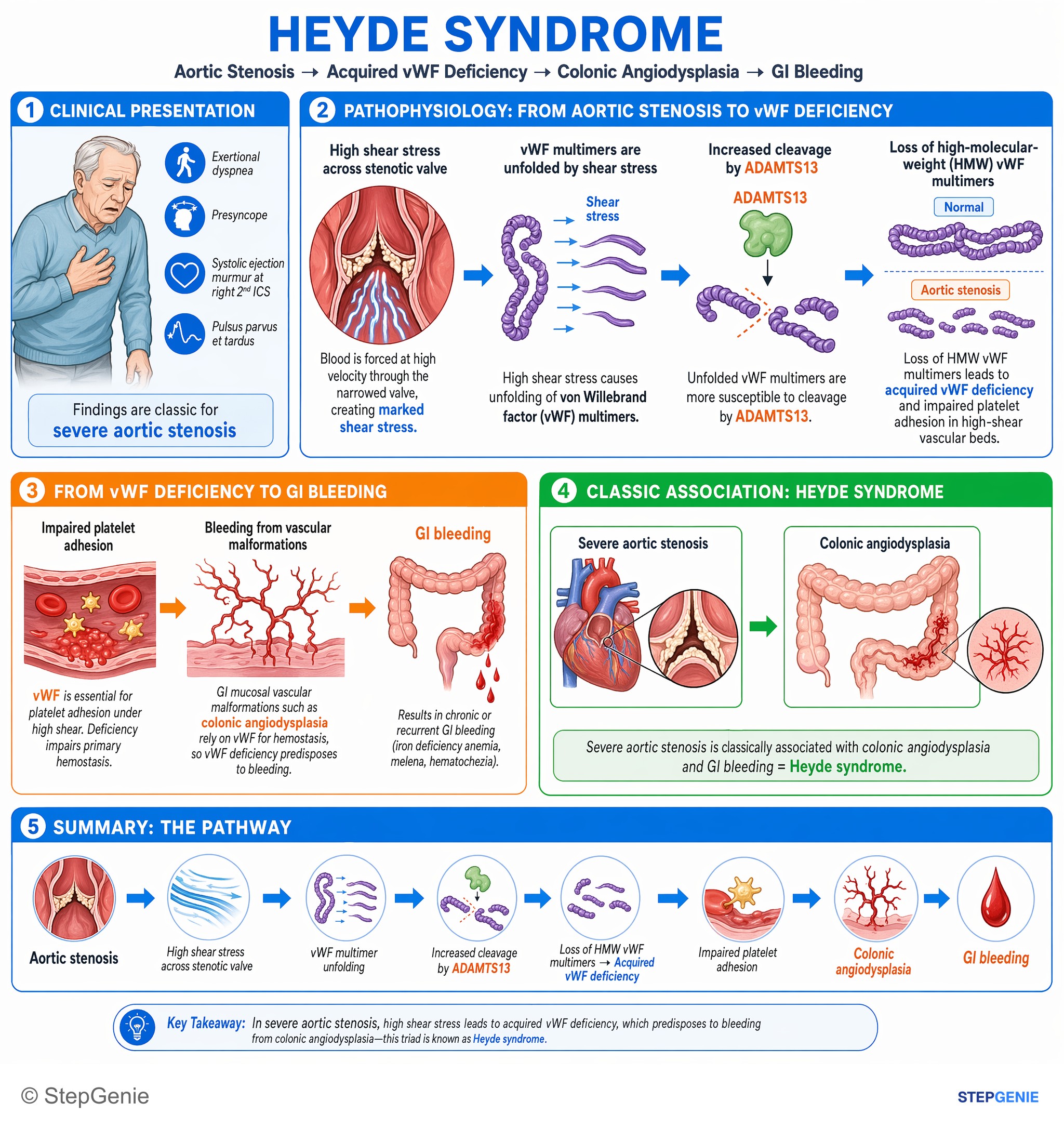 Valvular heart diseases — StepGenie USMLE Step 1 explanation infographic
