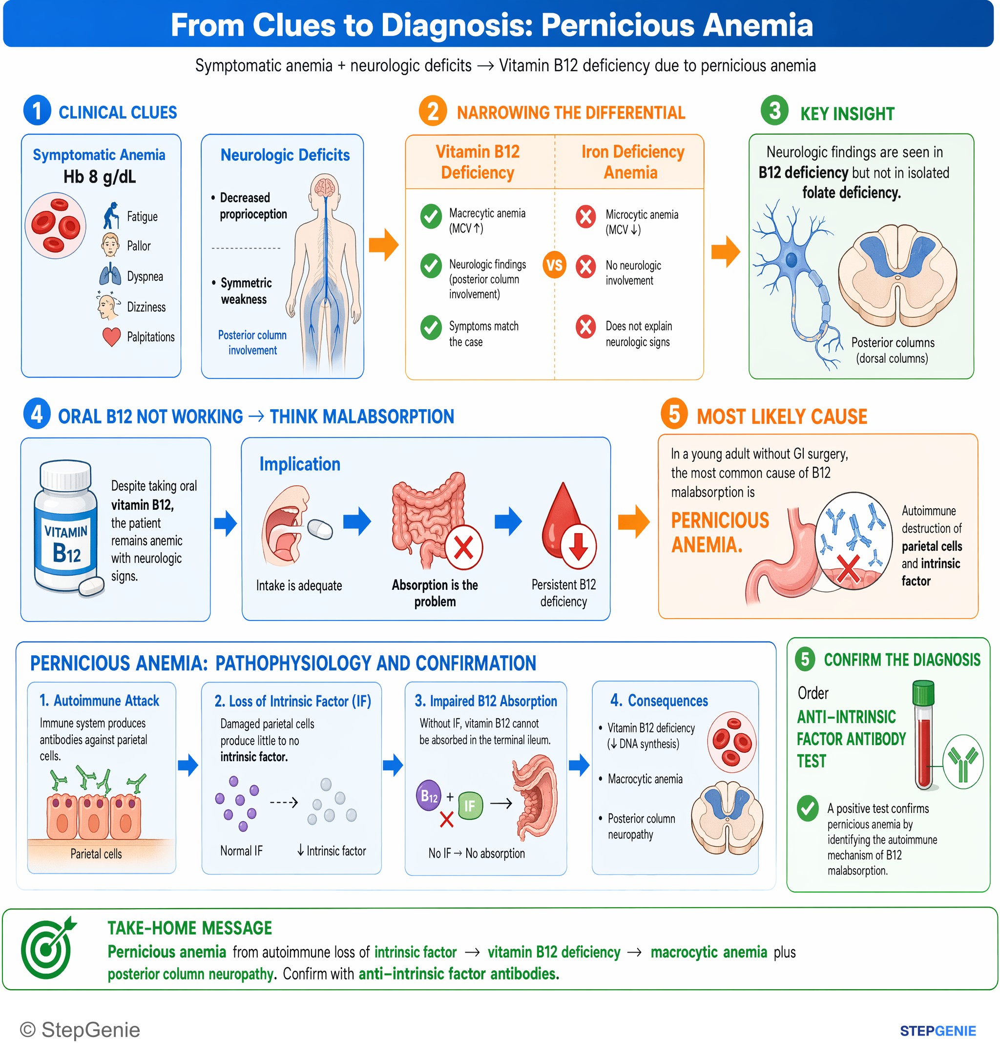 Red blood cell disorders — StepGenie USMLE Step 2 explanation infographic