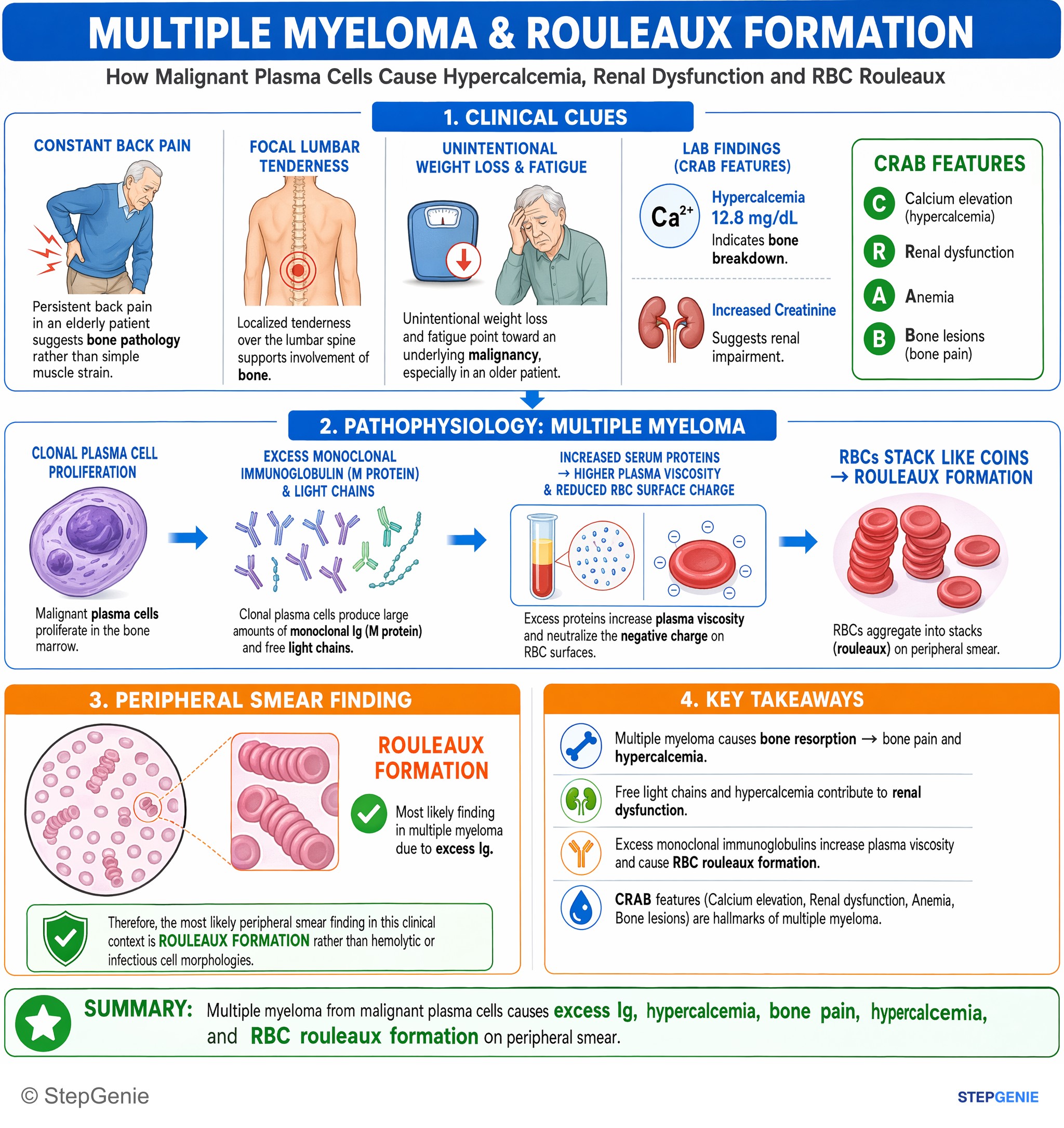 Disorders of RBCs and hemoglobin — StepGenie USMLE Step 1 explanation infographic