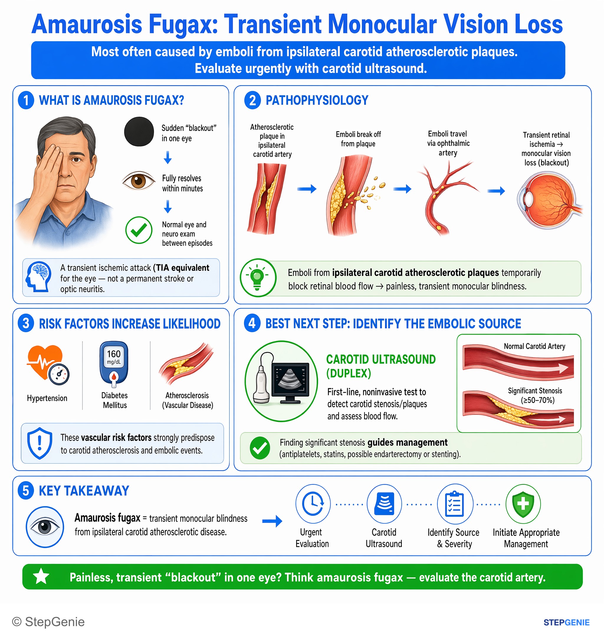 Aortic and peripheral artery diseases — StepGenie USMLE Step 2 explanation infographic