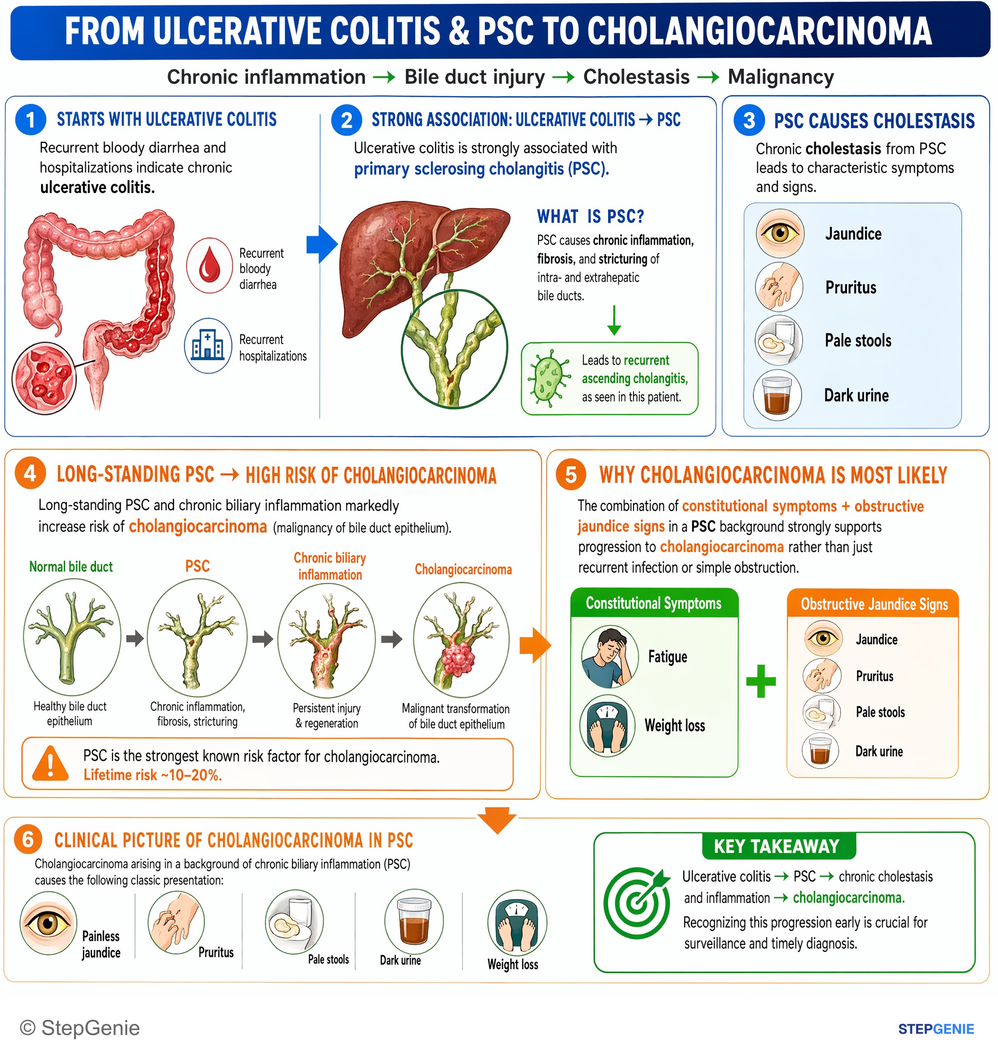 Biliary tract disorders — StepGenie USMLE Step 2 explanation infographic