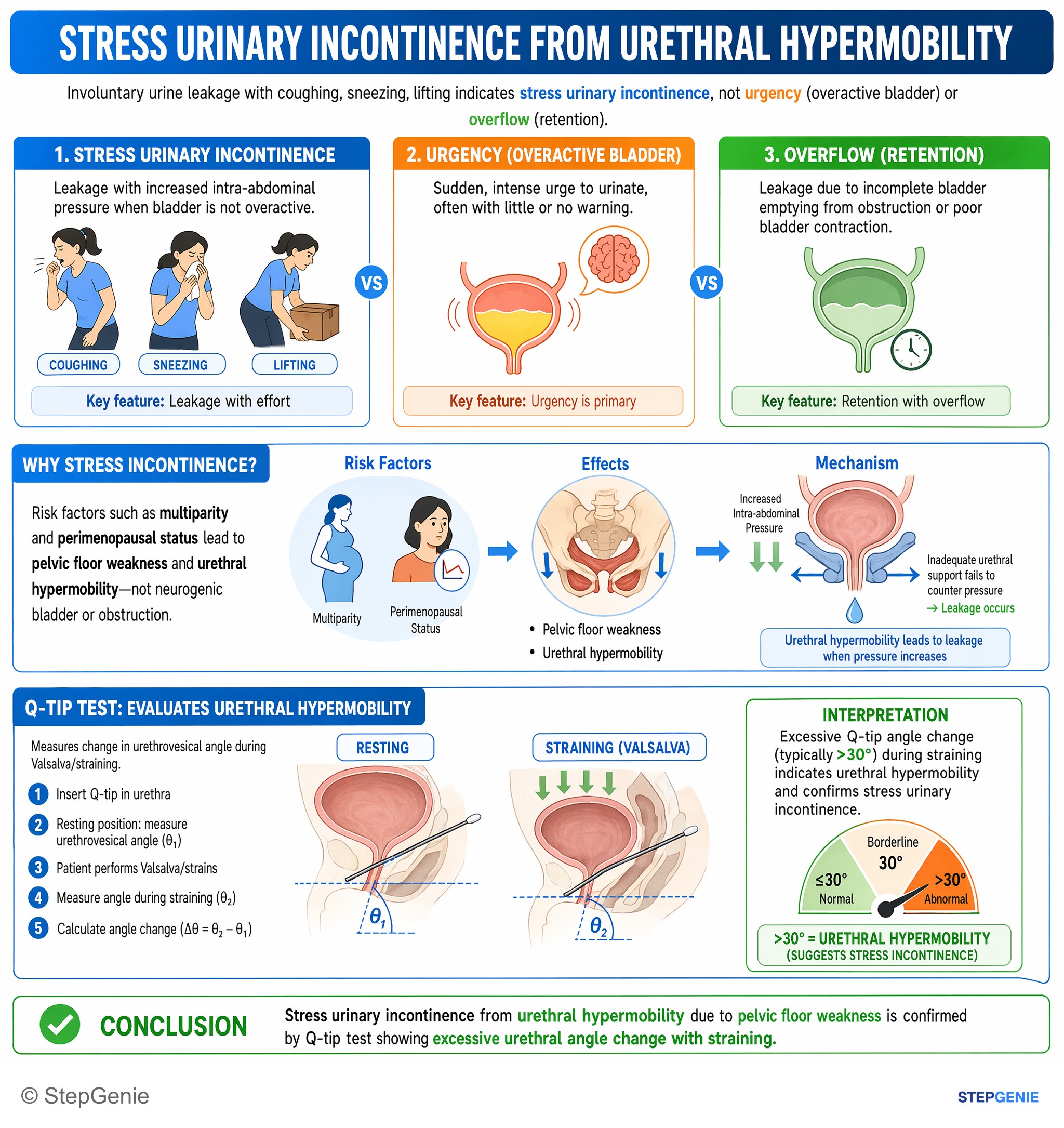 Renal, Urinary Systems & Electrolytes — StepGenie USMLE Step 2 explanation infographic