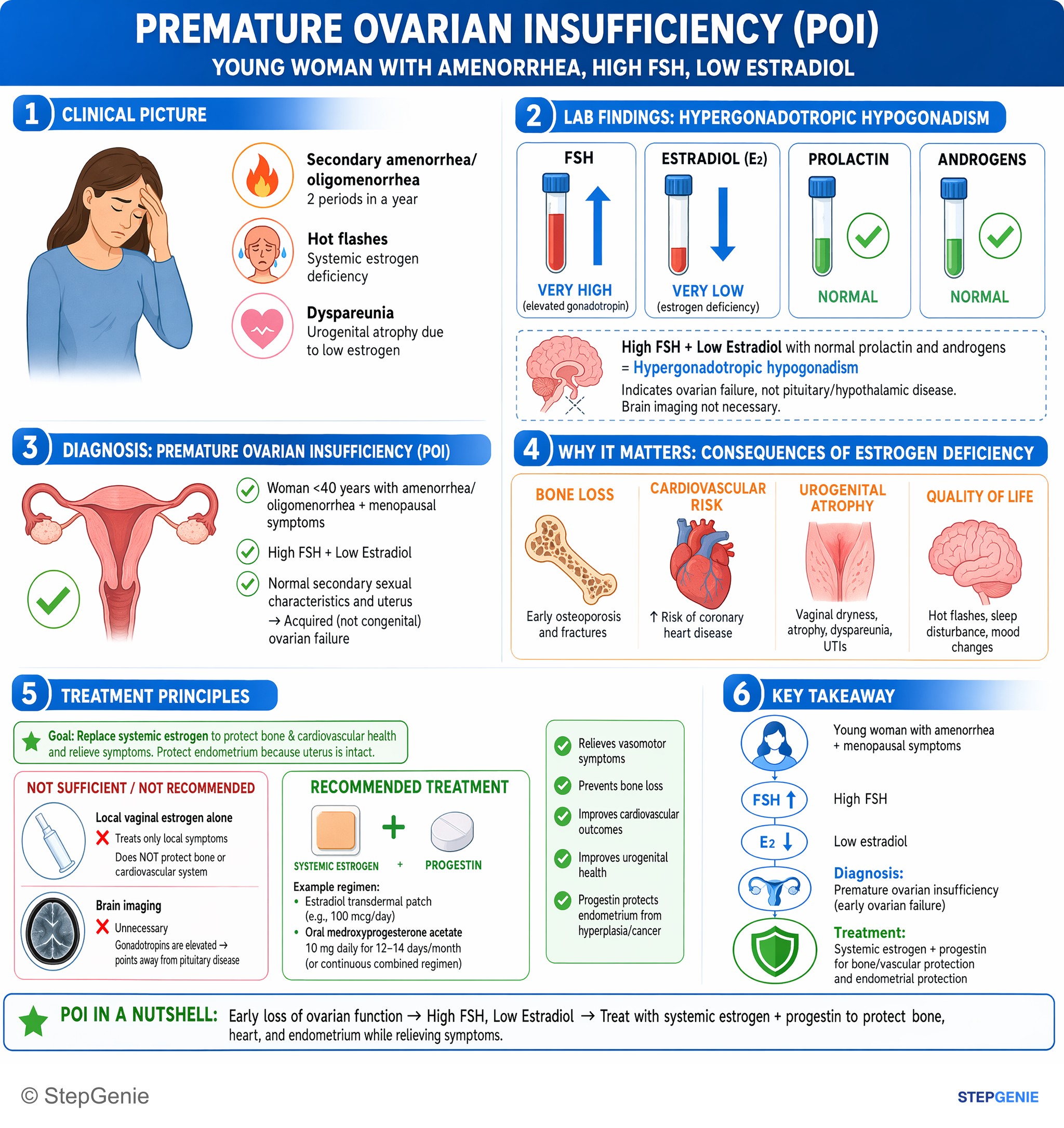 Reproductive endocrinology — StepGenie USMLE Step 2 explanation infographic
