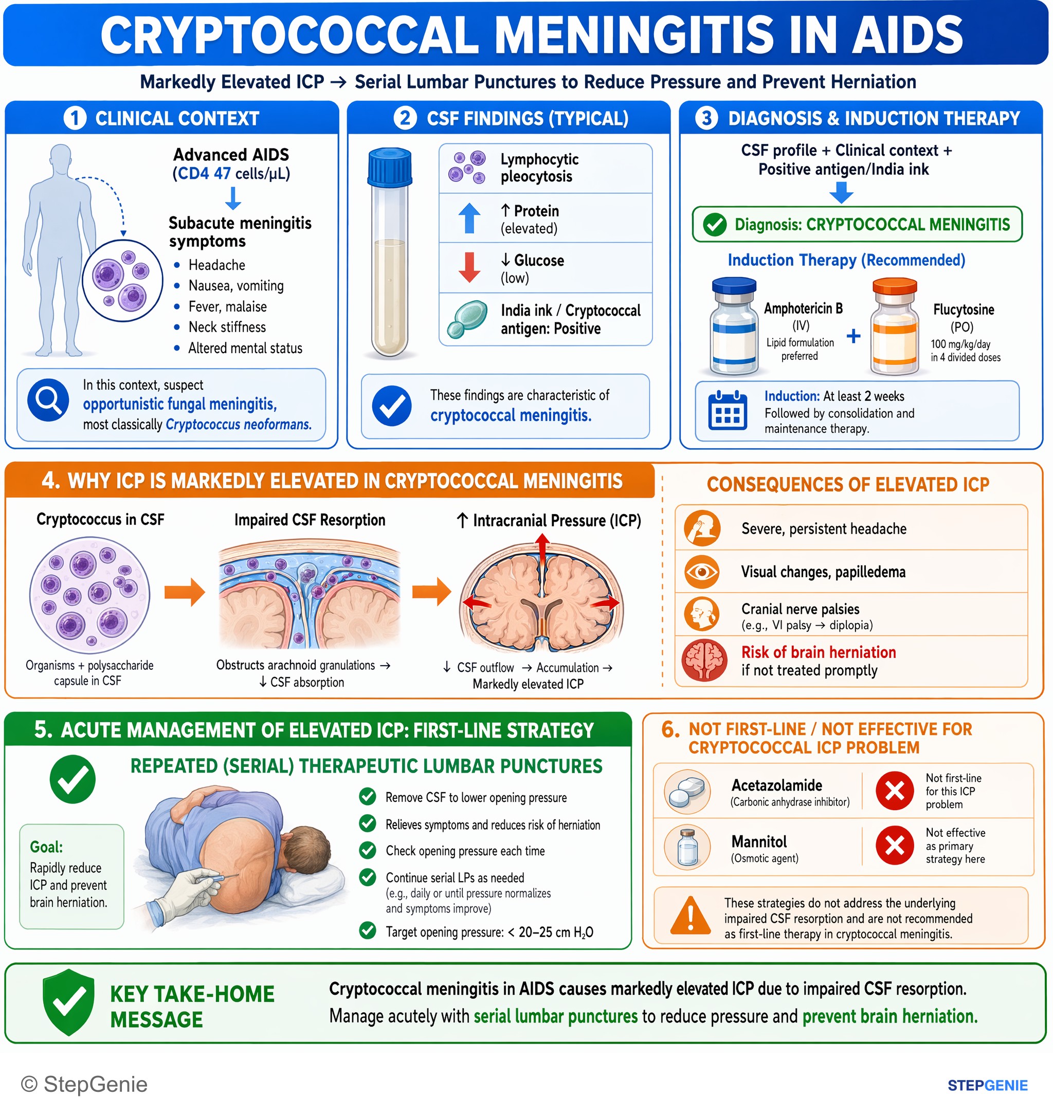 Fungal infections — StepGenie USMLE Step 2 explanation infographic
