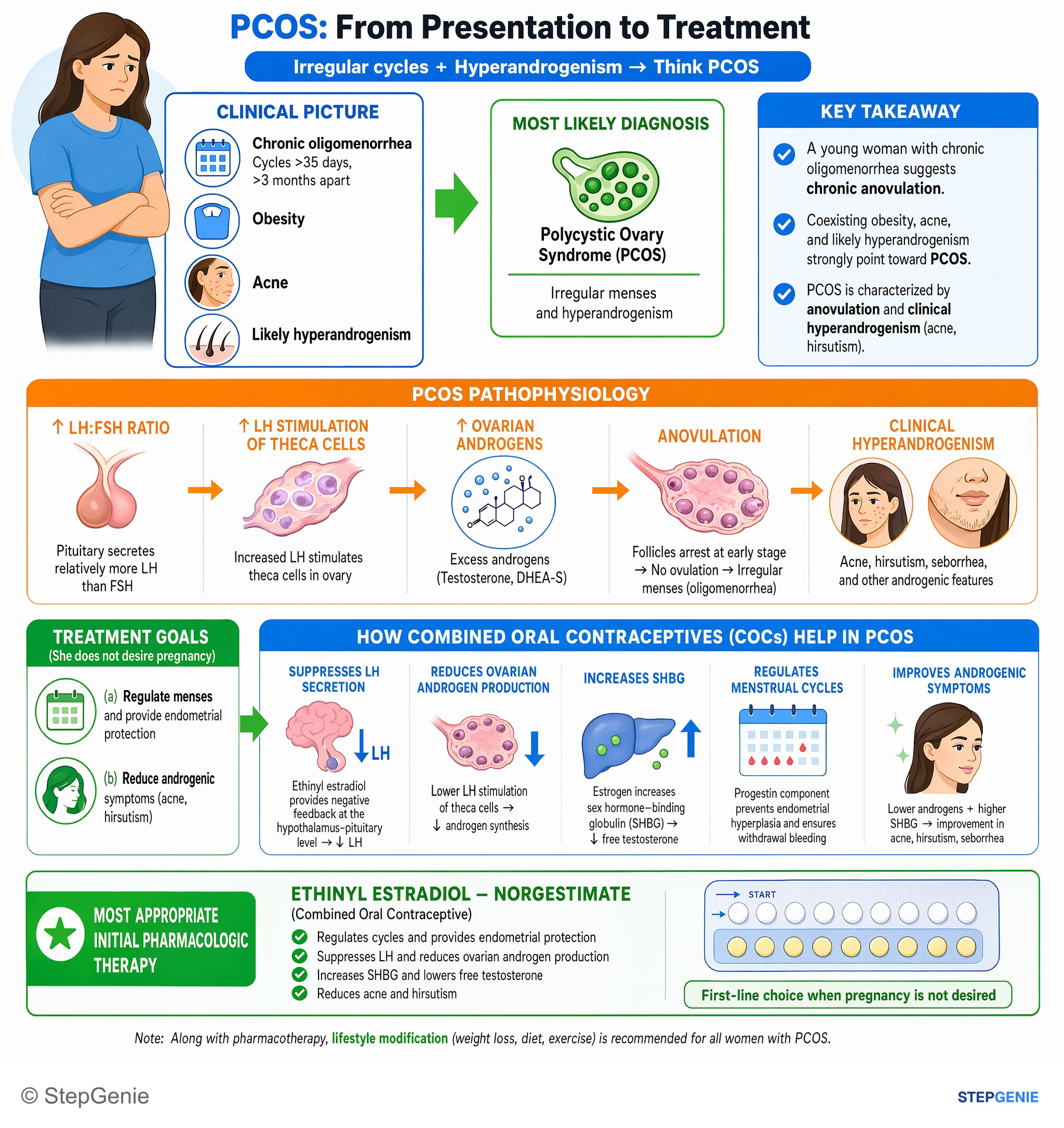Reproductive endocrinology — StepGenie USMLE Step 2 explanation infographic