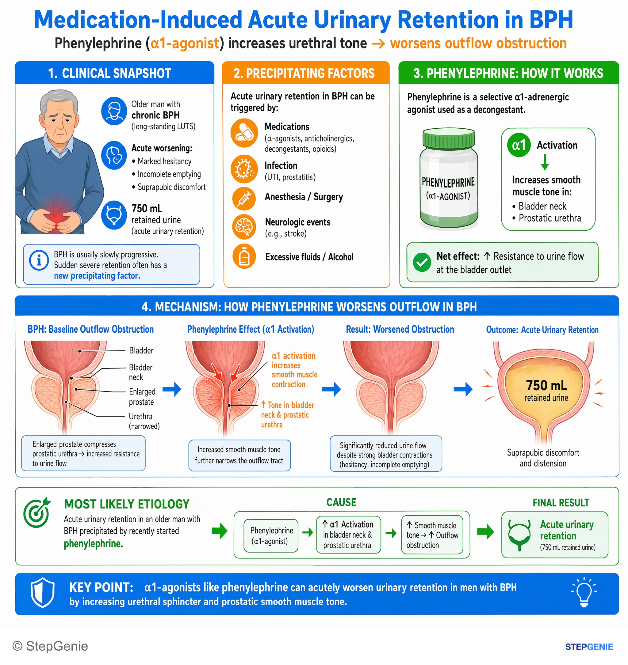 Nephrolithiasis, hematuria, and urinary tract obstruction — StepGenie USMLE Step 2 explanation infographic