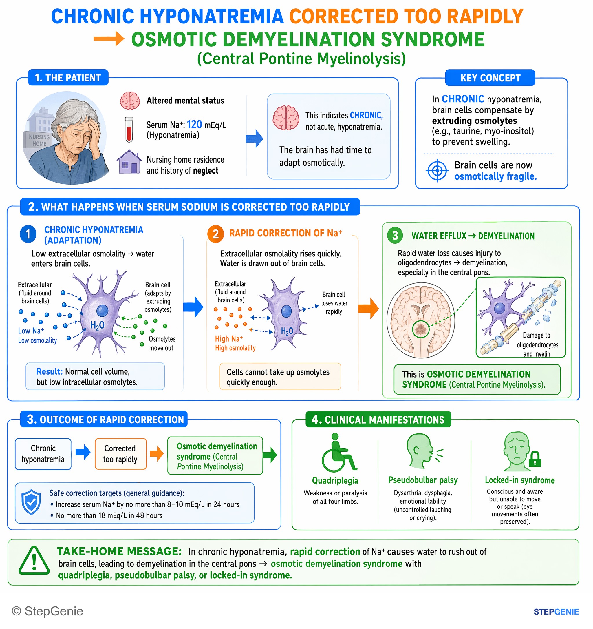 Fluid, electrolytes, and acid-base — StepGenie USMLE Step 1 explanation infographic