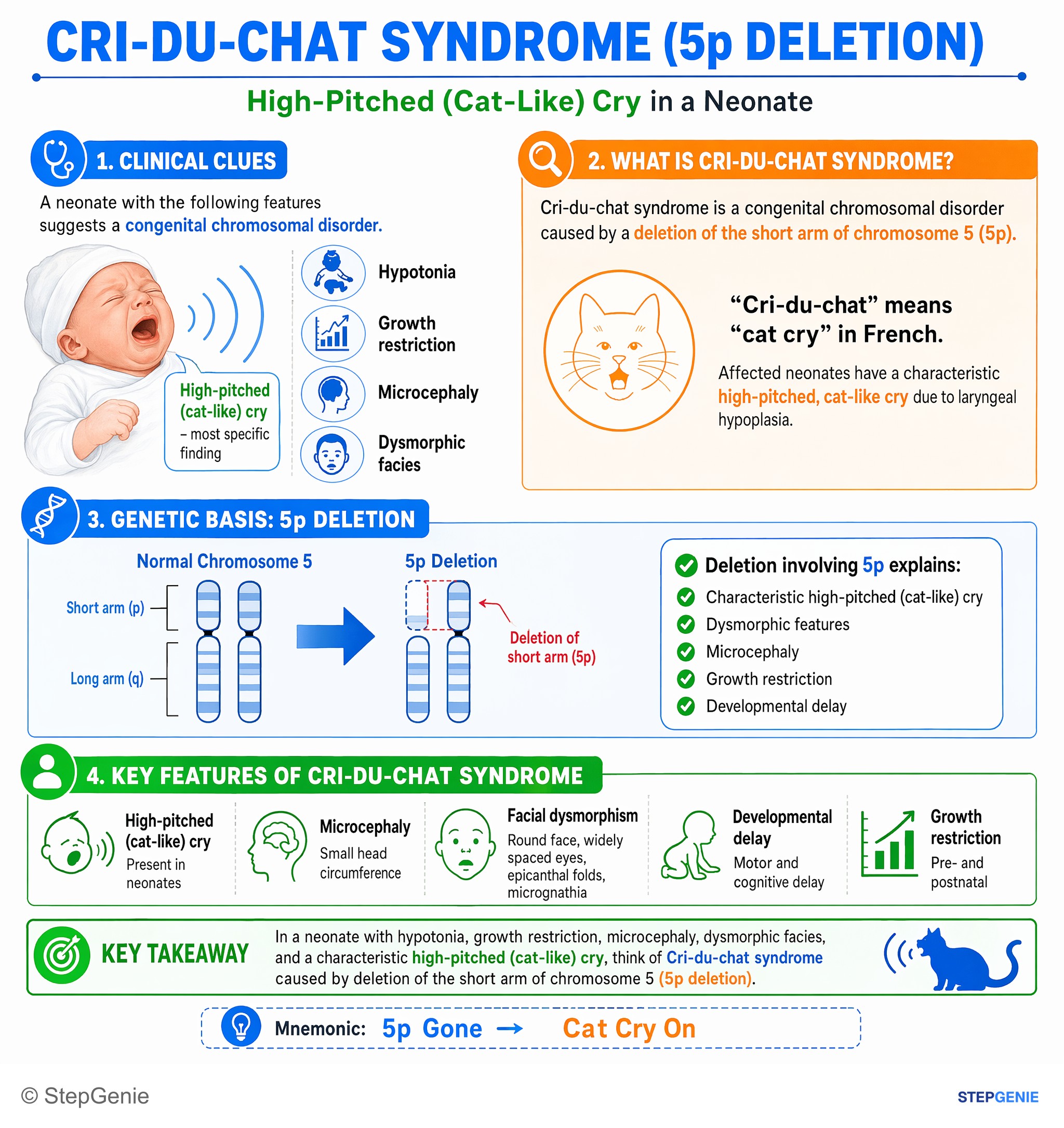 Syndromic conditions — StepGenie USMLE Step 1 explanation infographic