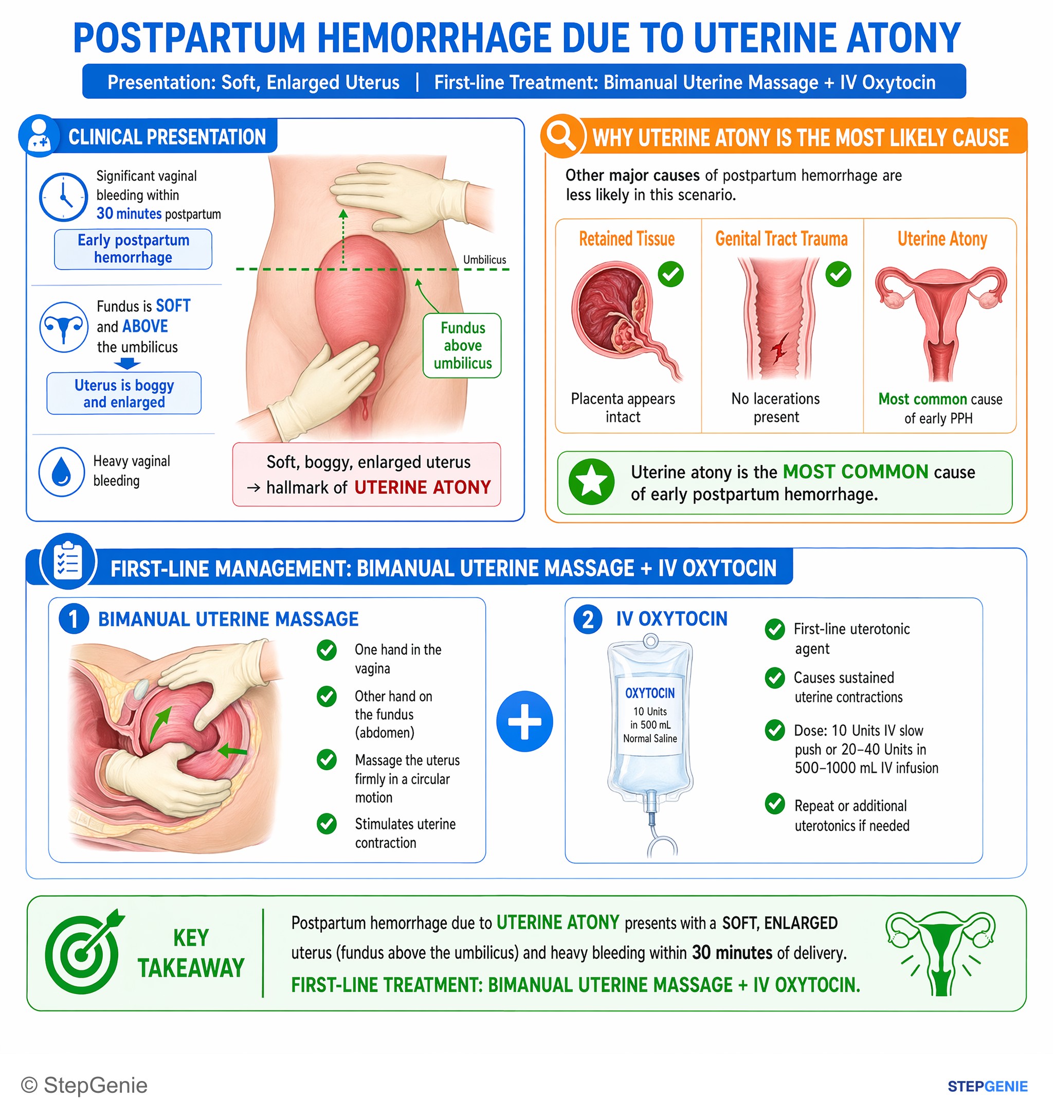 Disorders of pregnancy, childbirth, and puerperium — StepGenie USMLE Step 2 explanation infographic