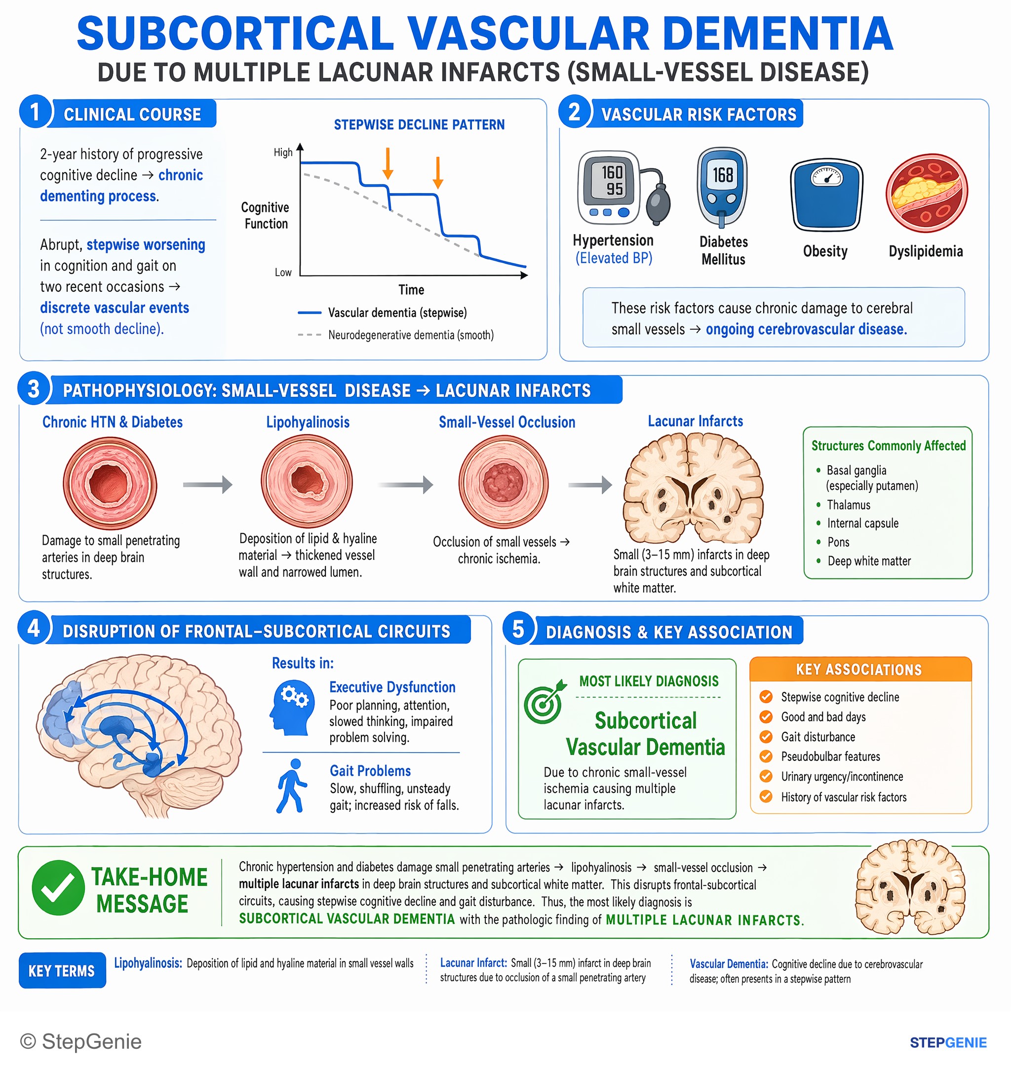 Neurodegenerative disorders and dementias — StepGenie USMLE Step 2 explanation infographic