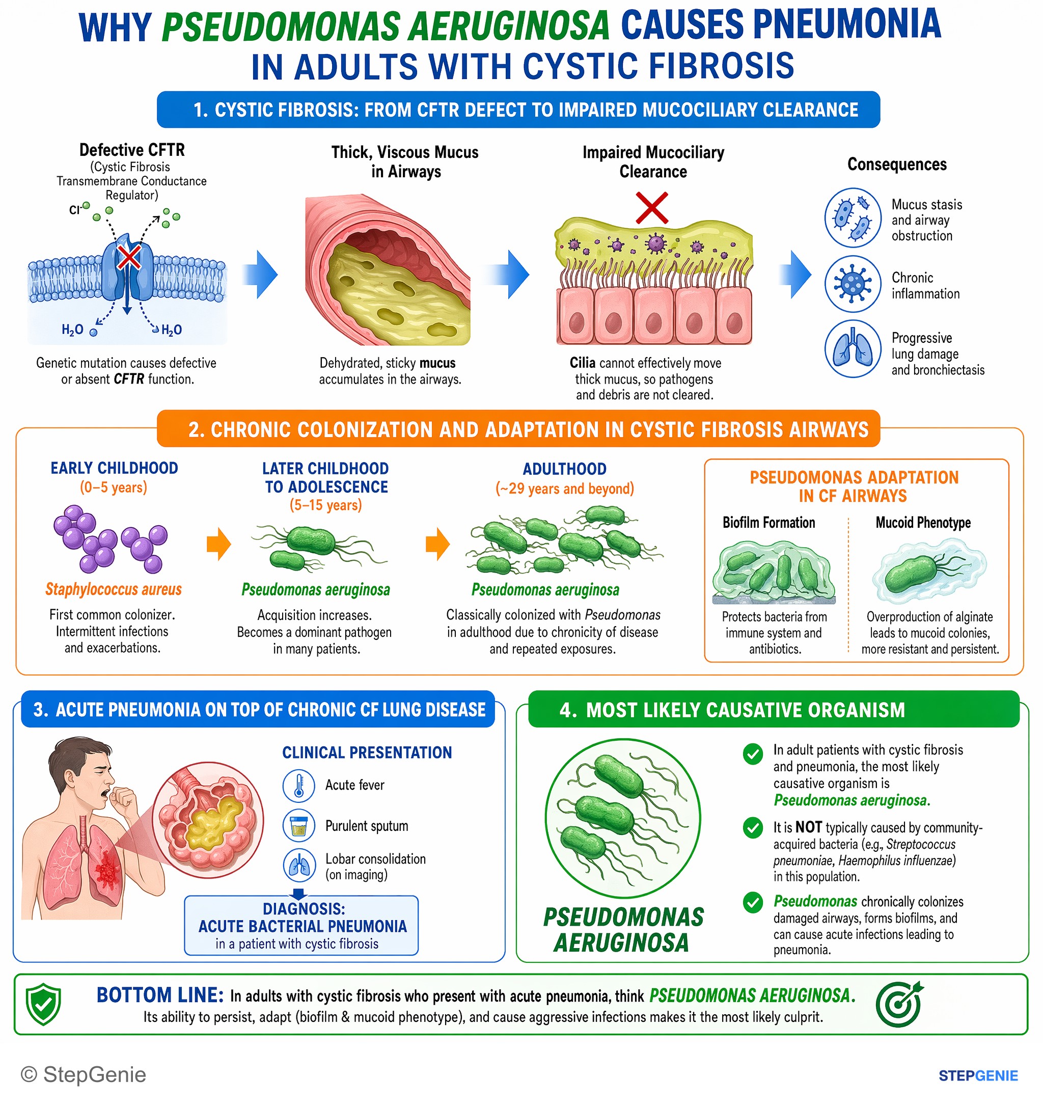 Pulmonary infections — StepGenie USMLE Step 1 explanation infographic