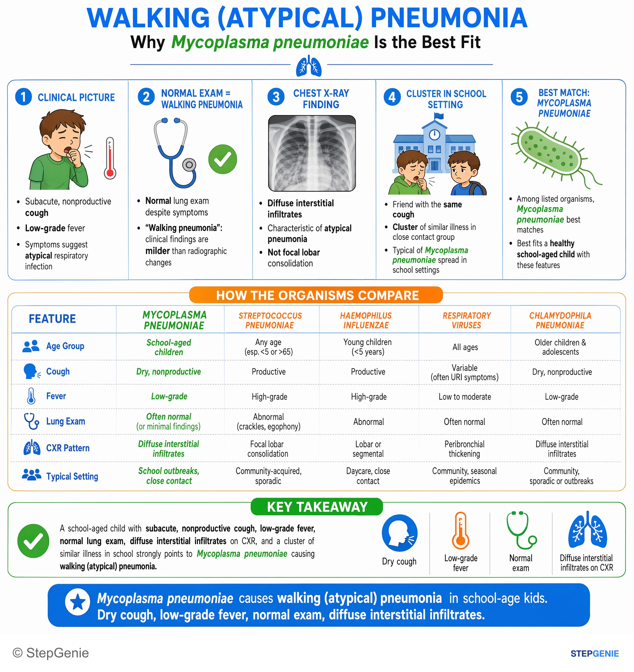 Pulmonary infections — StepGenie USMLE Step 1 explanation infographic