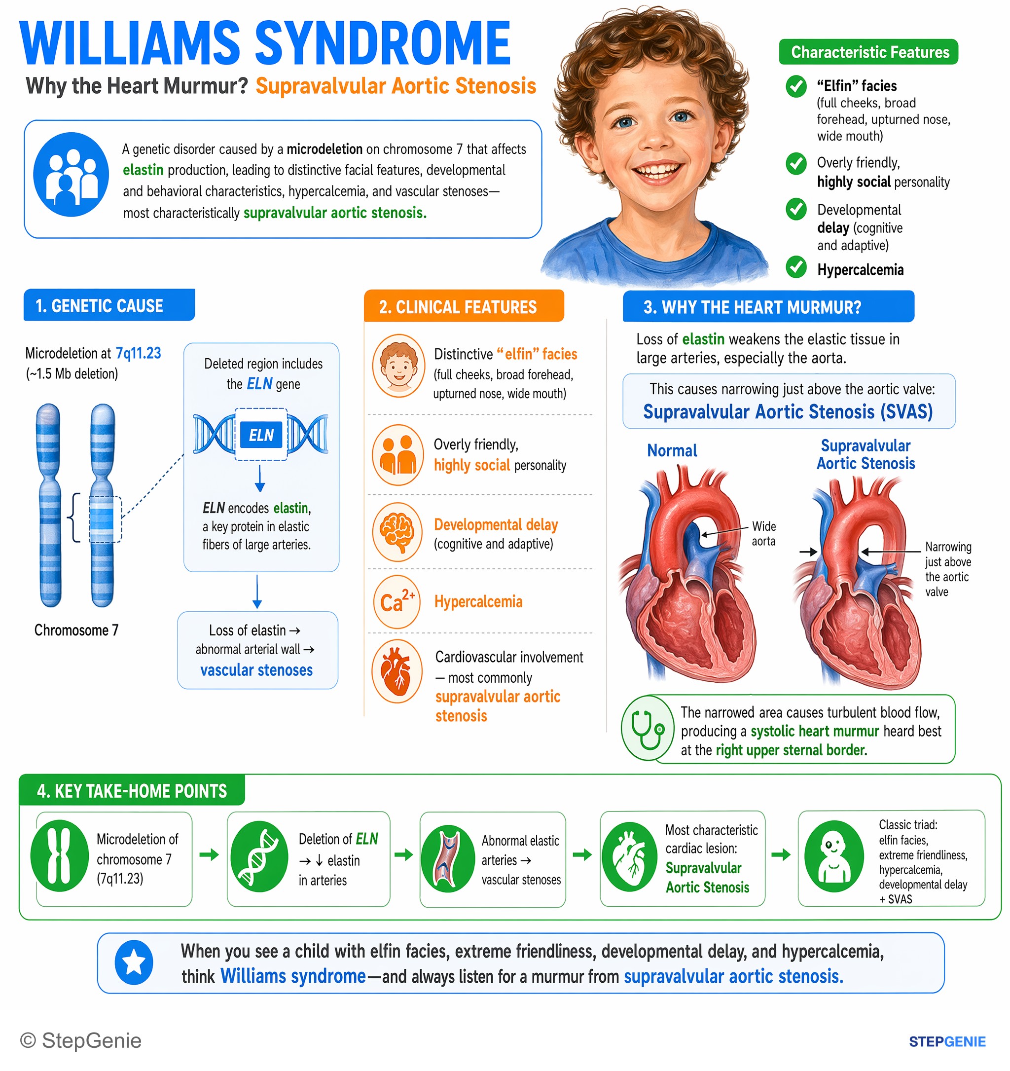 Congenital heart disease — StepGenie USMLE Step 1 explanation infographic