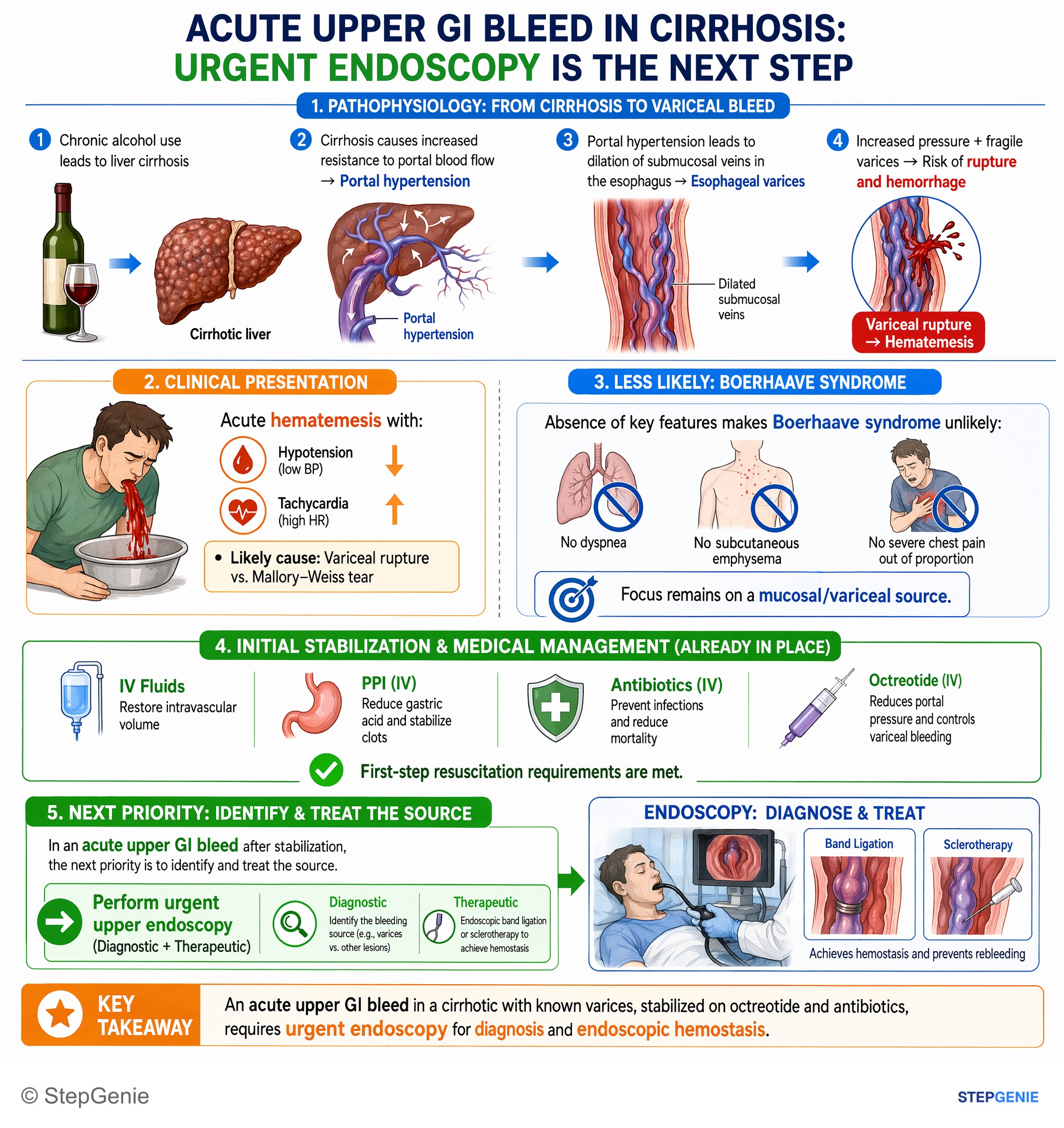 Hepatic disorders — StepGenie USMLE Step 2 explanation infographic