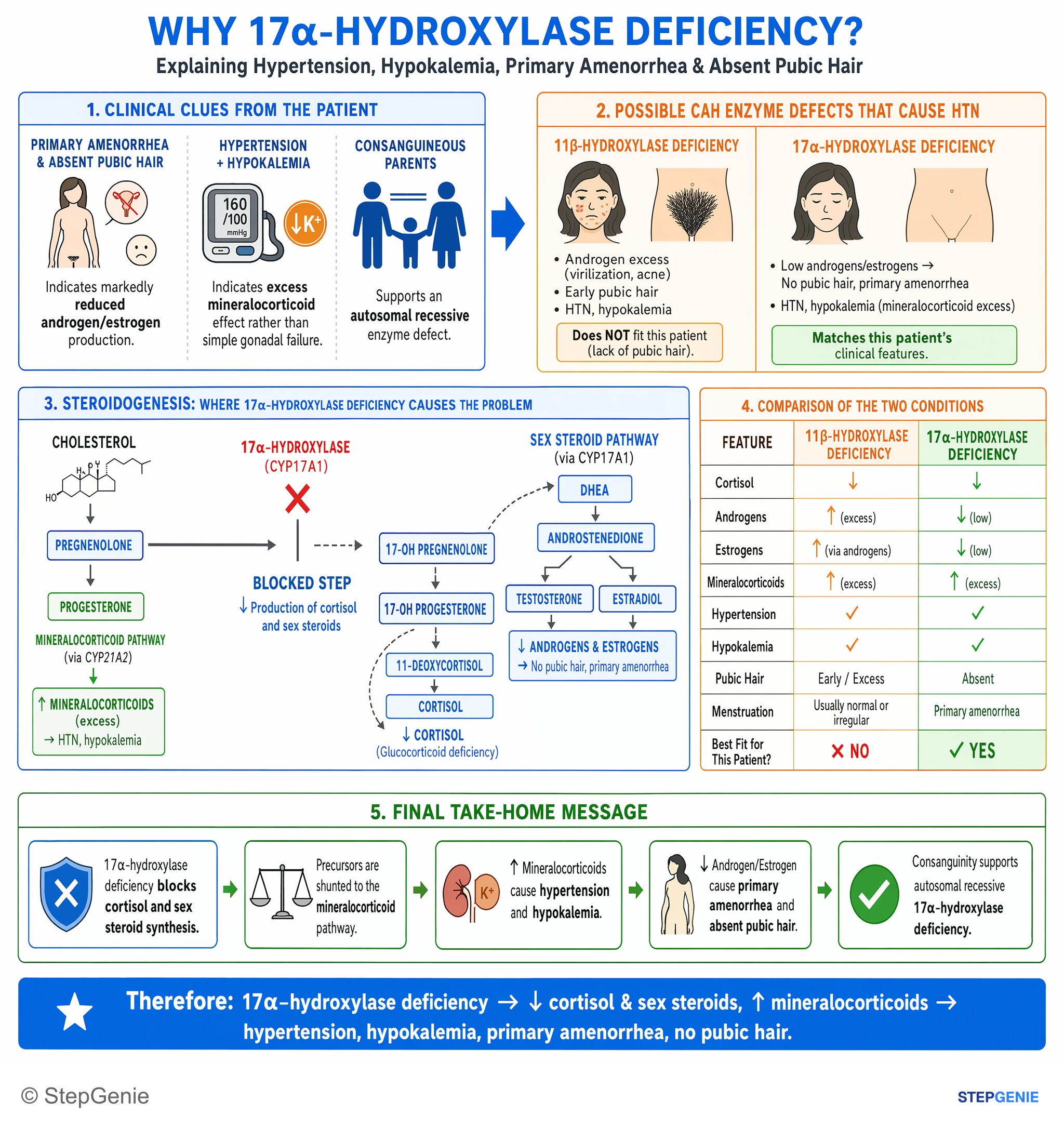 Fluid, electrolytes, and acid-base — StepGenie USMLE Step 2 explanation infographic