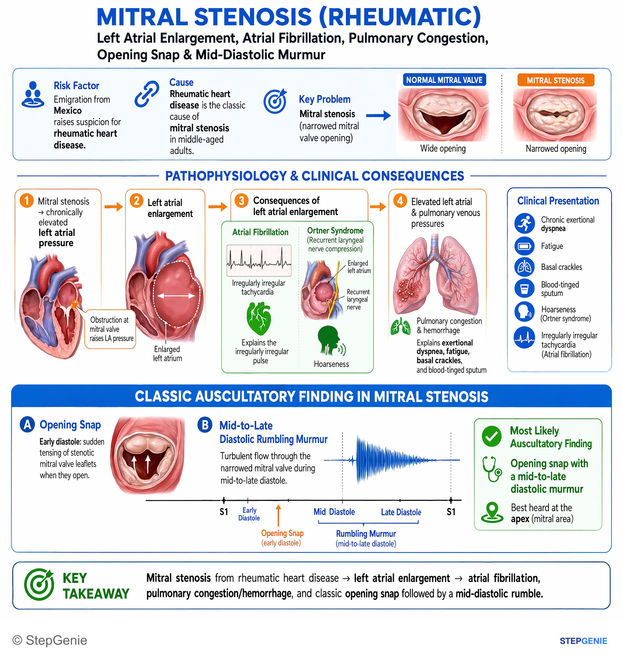 Valvular heart diseases — StepGenie USMLE Step 1 explanation infographic