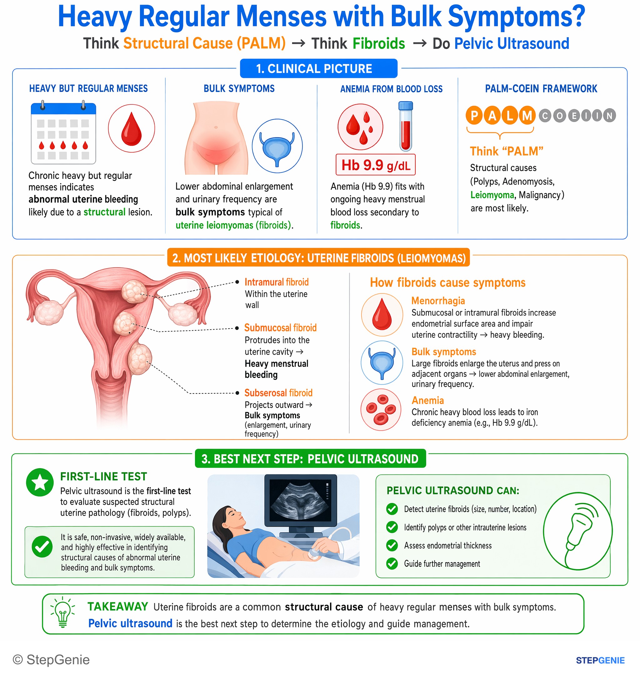 Genitourinary tract infections — StepGenie USMLE Step 2 explanation infographic