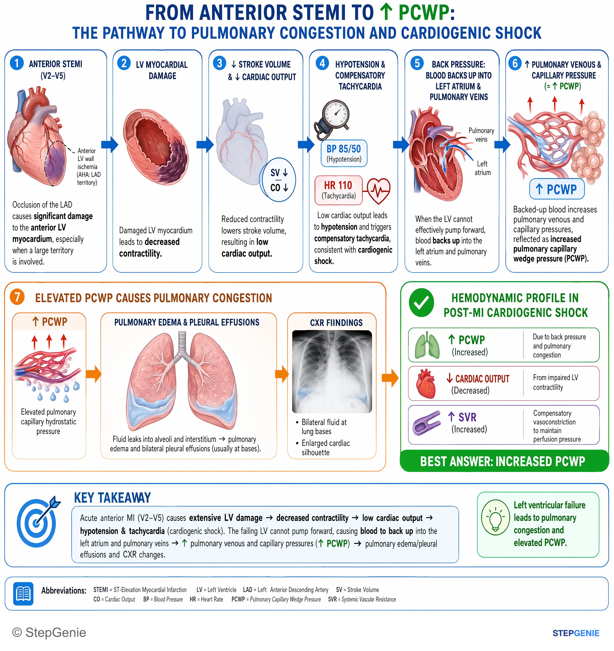 Heart failure and shock — StepGenie USMLE Step 1 explanation infographic