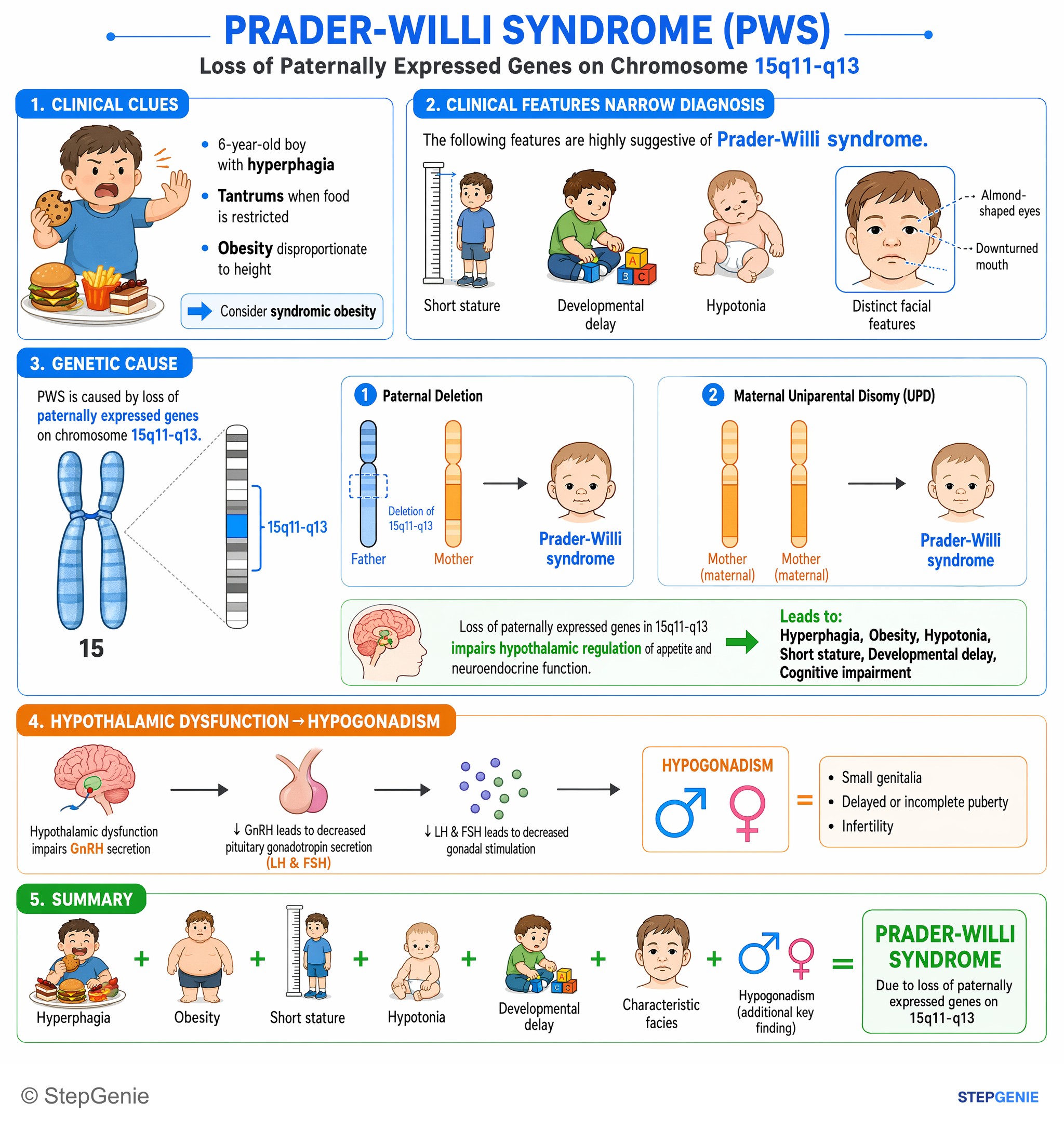 Congenital and developmental anomalies — StepGenie USMLE Step 1 explanation infographic