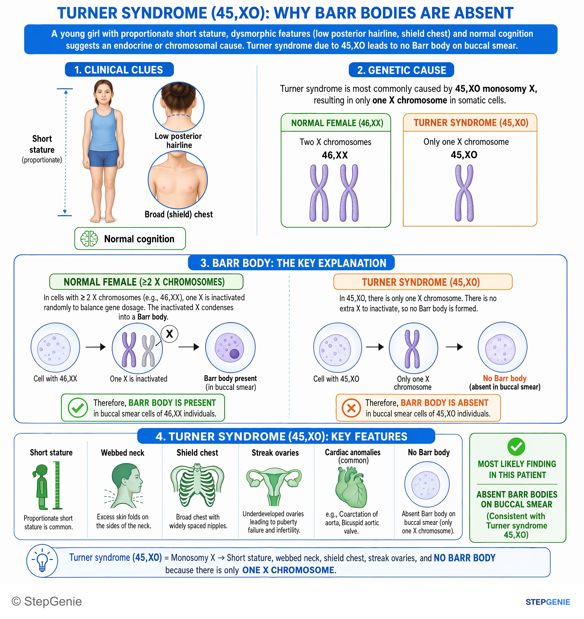 Congenital and developmental anomalies — StepGenie USMLE Step 1 explanation infographic
