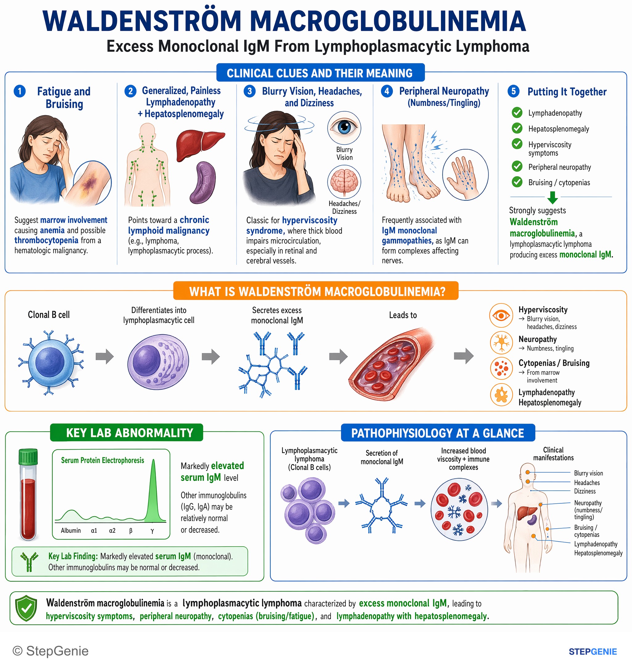 WBC disorders — StepGenie USMLE Step 1 explanation infographic