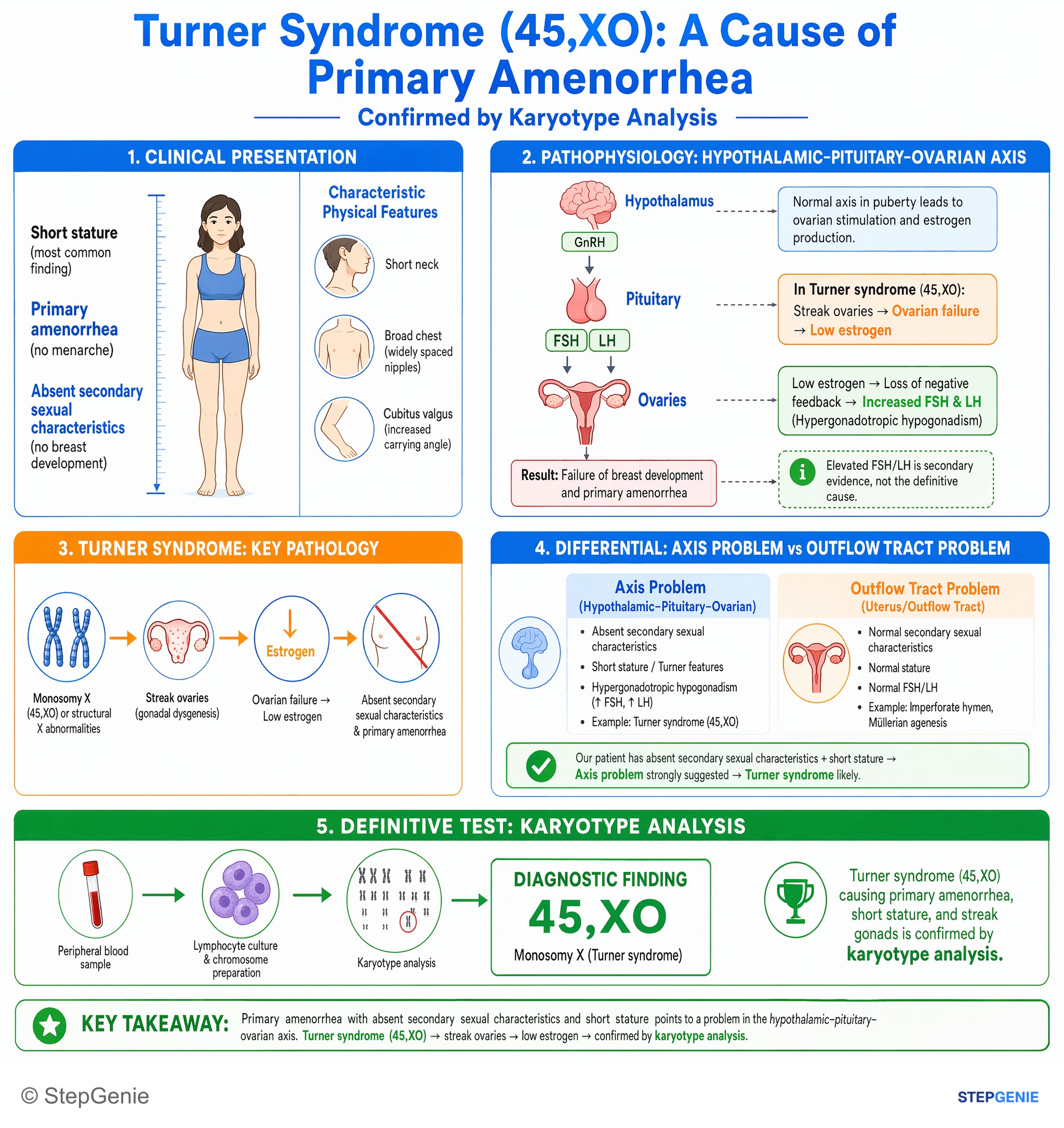 Congenital and developmental anomalies — StepGenie USMLE Step 2 explanation infographic