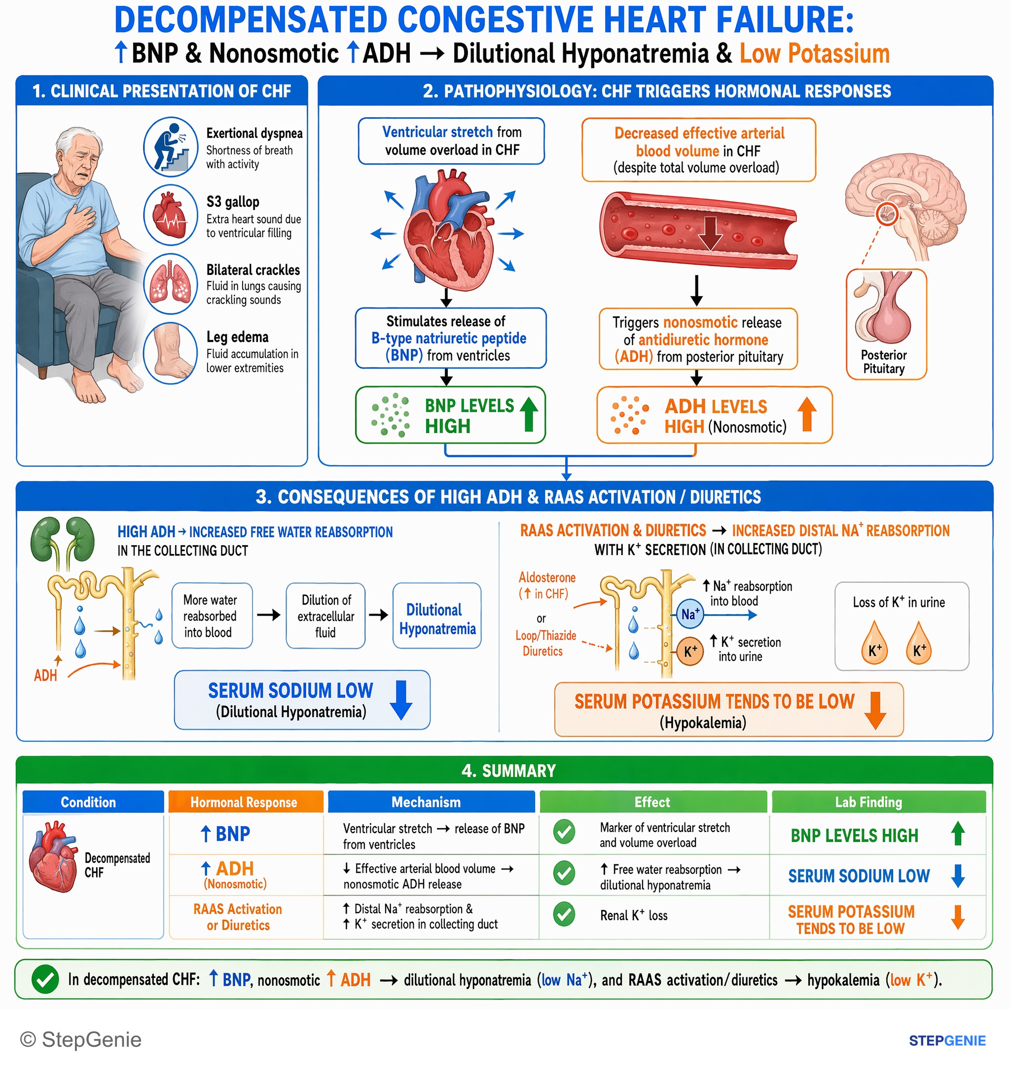 Heart failure and shock — StepGenie USMLE Step 1 explanation infographic