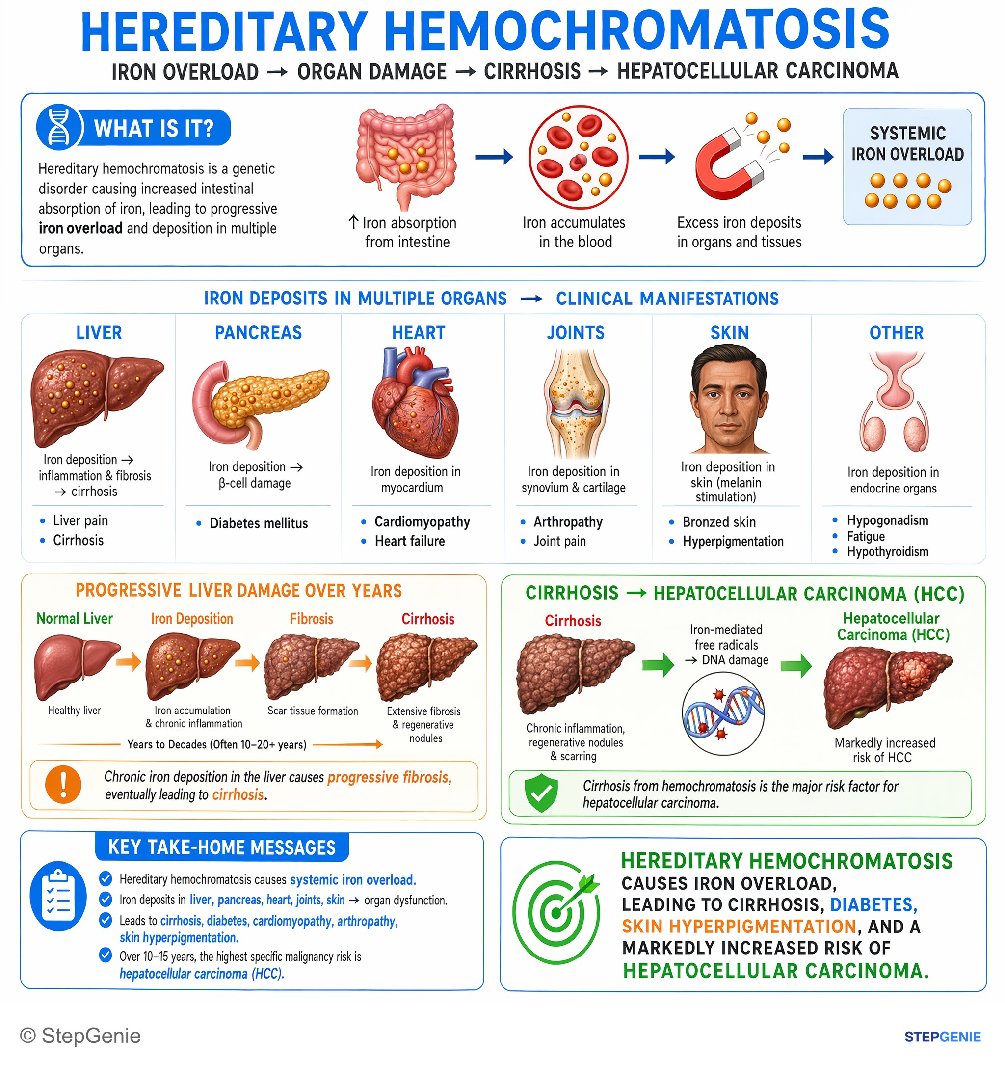 Hepatic disorders — StepGenie USMLE Step 1 explanation infographic