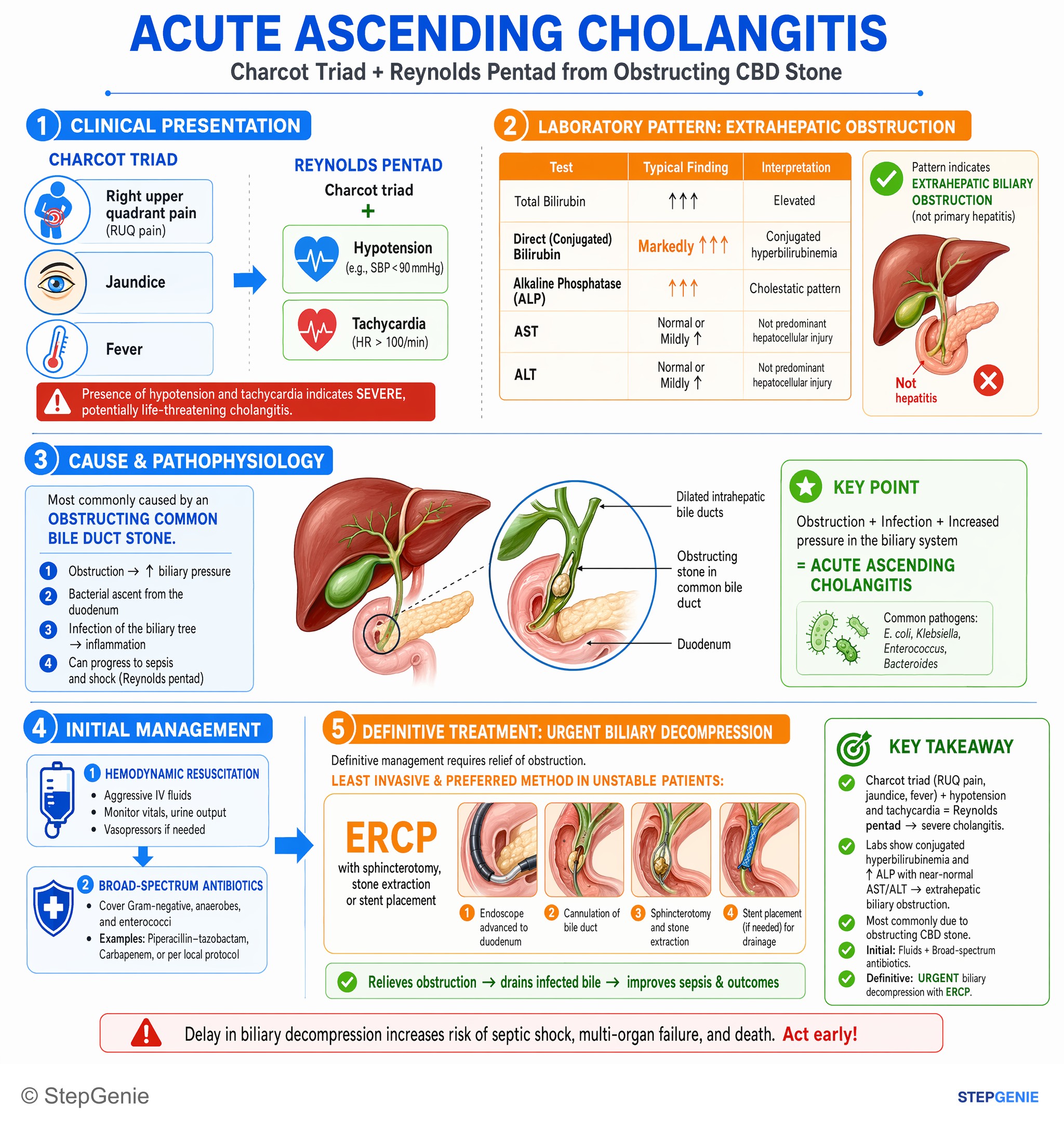 Biliary tract disorders — StepGenie USMLE Step 2 explanation infographic