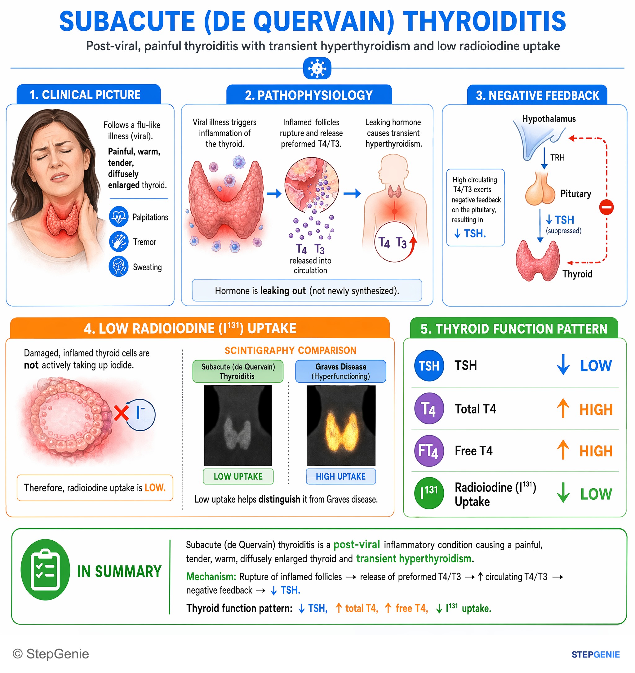 Thyroid disorders — StepGenie USMLE Step 1 explanation infographic