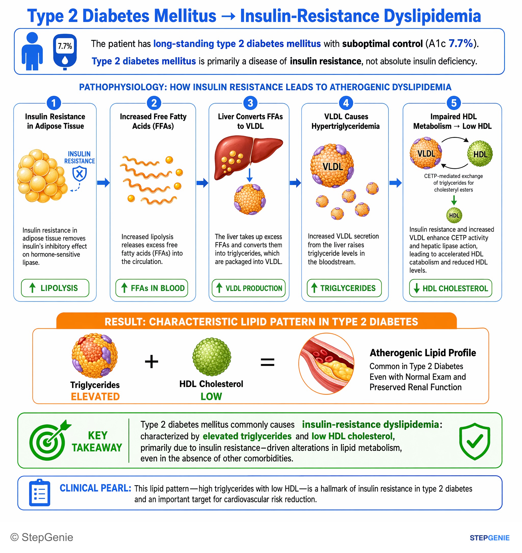 Diabetes mellitus — StepGenie USMLE Step 1 explanation infographic