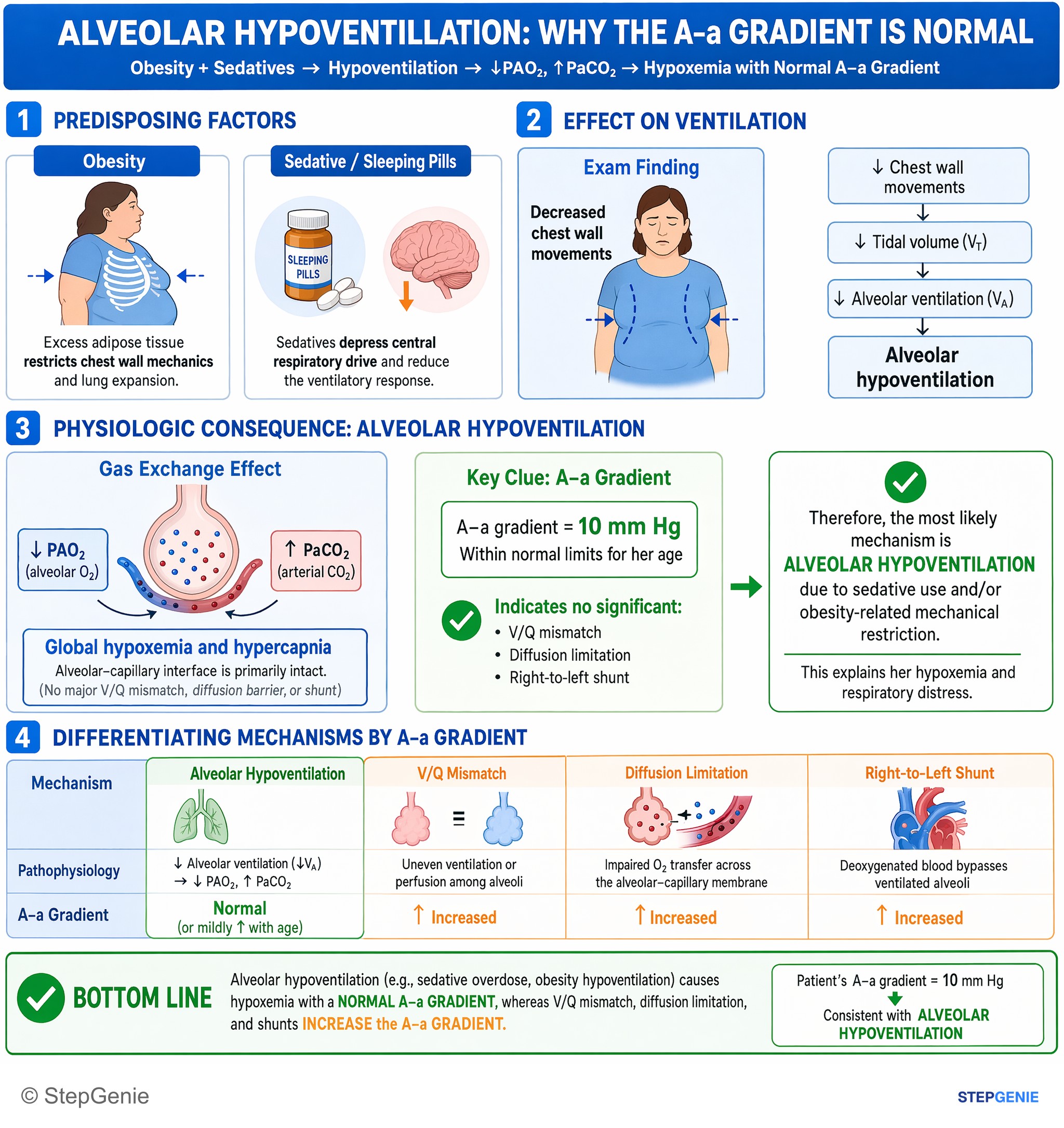 Miscellaneous — StepGenie USMLE Step 1 explanation infographic