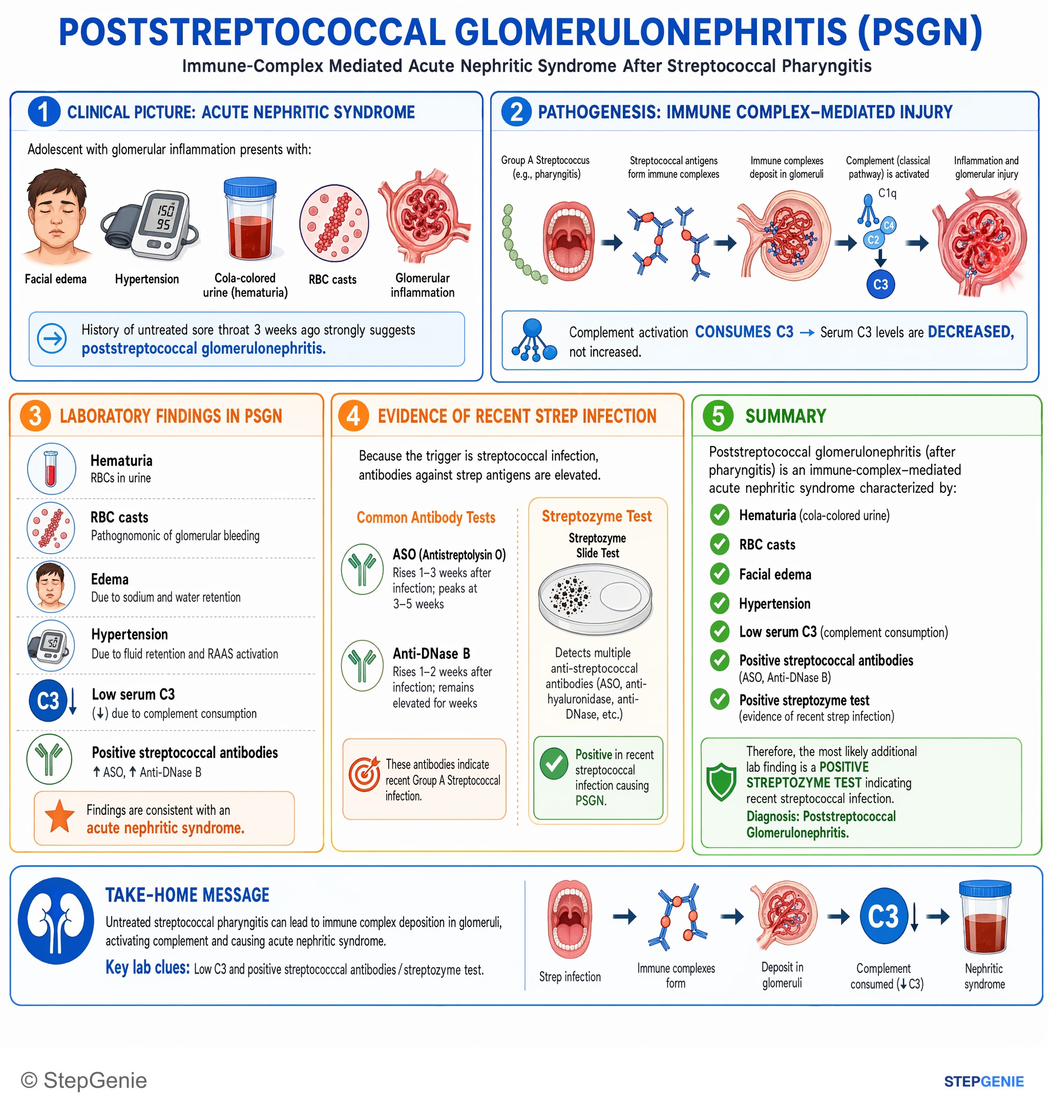 Nephrotic & nephritic syndromes — StepGenie USMLE Step 1 explanation infographic