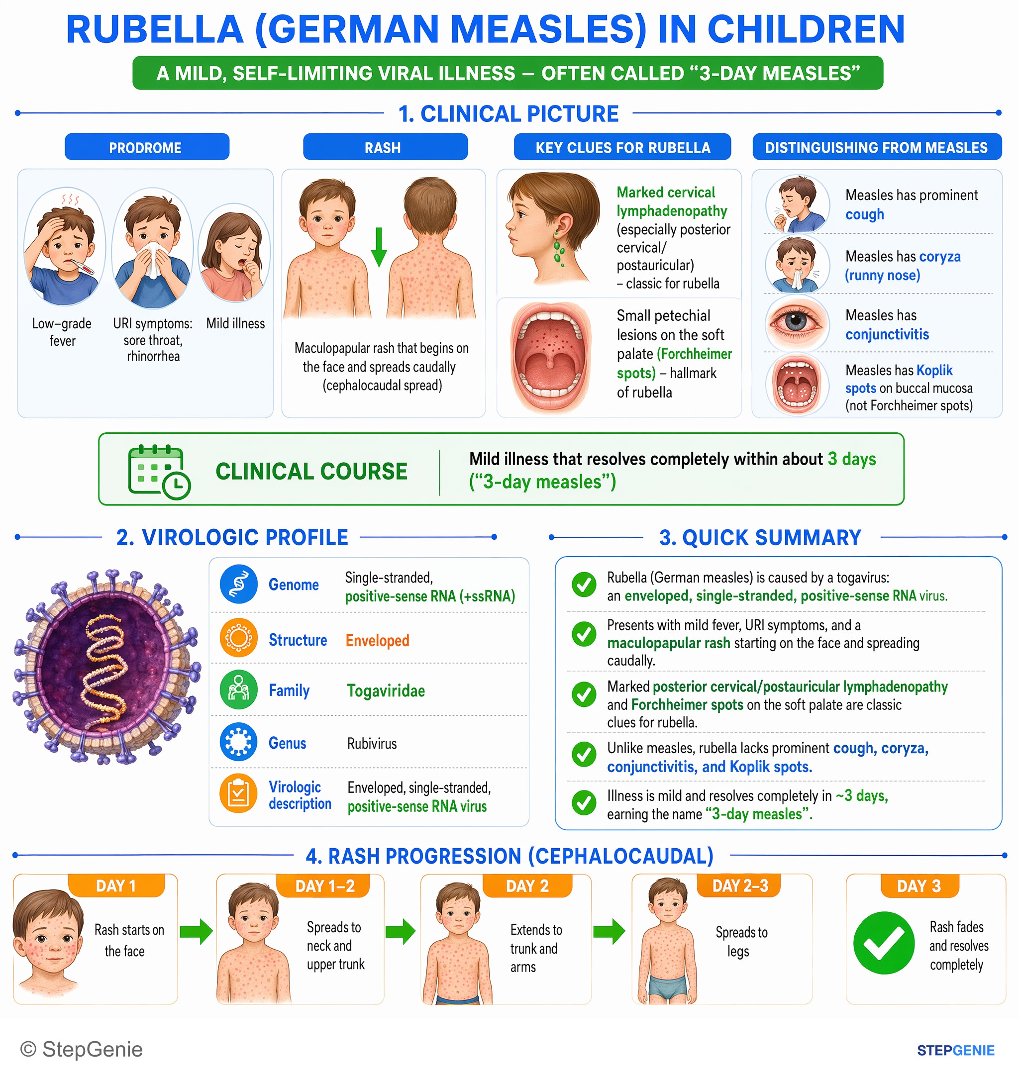 Viral infections — StepGenie USMLE Step 1 explanation infographic
