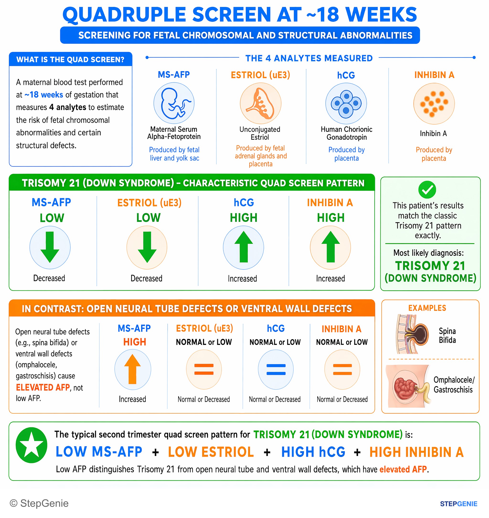 Syndromic conditions — StepGenie USMLE Step 1 explanation infographic