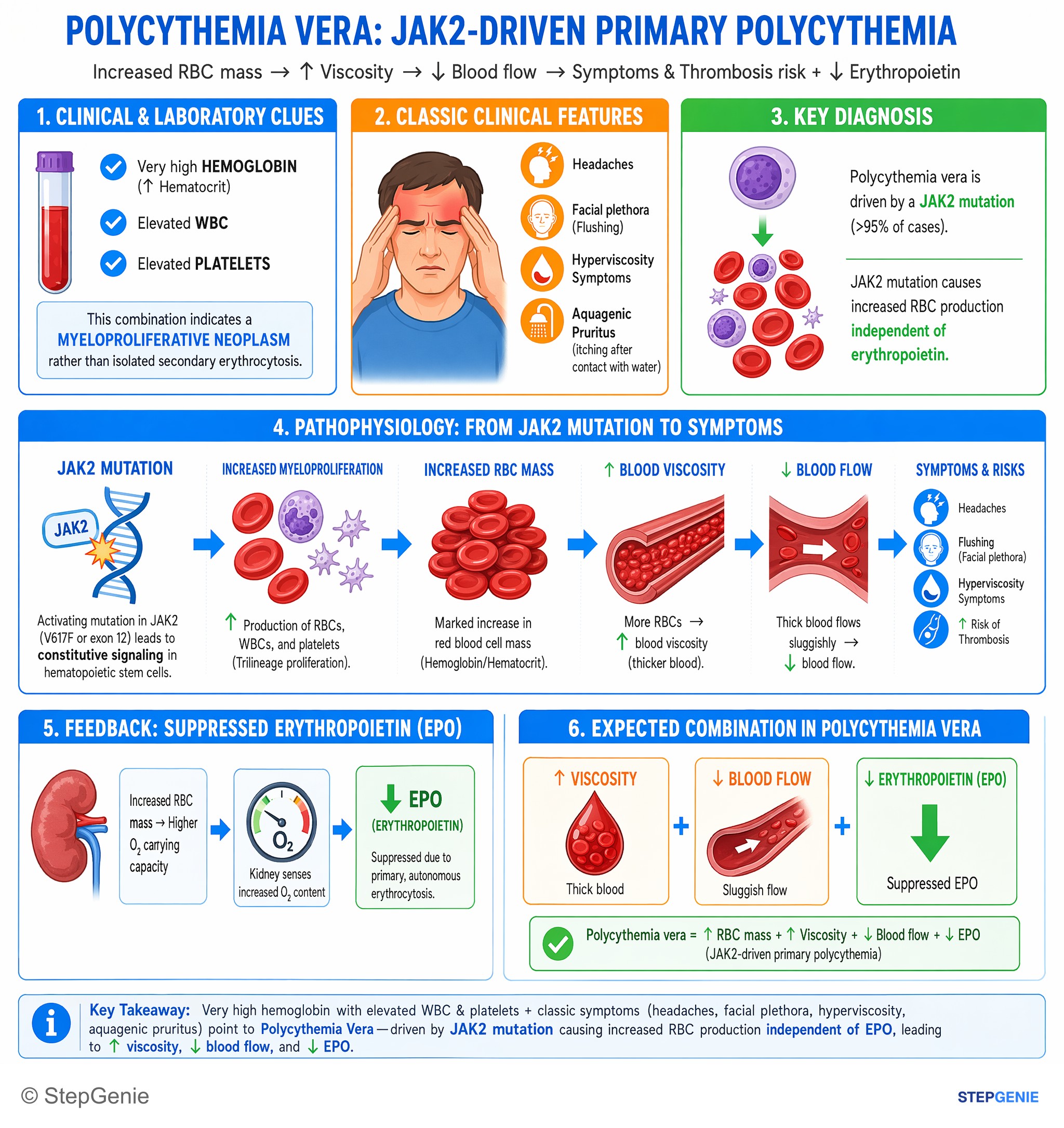 WBC disorders — StepGenie USMLE Step 1 explanation infographic