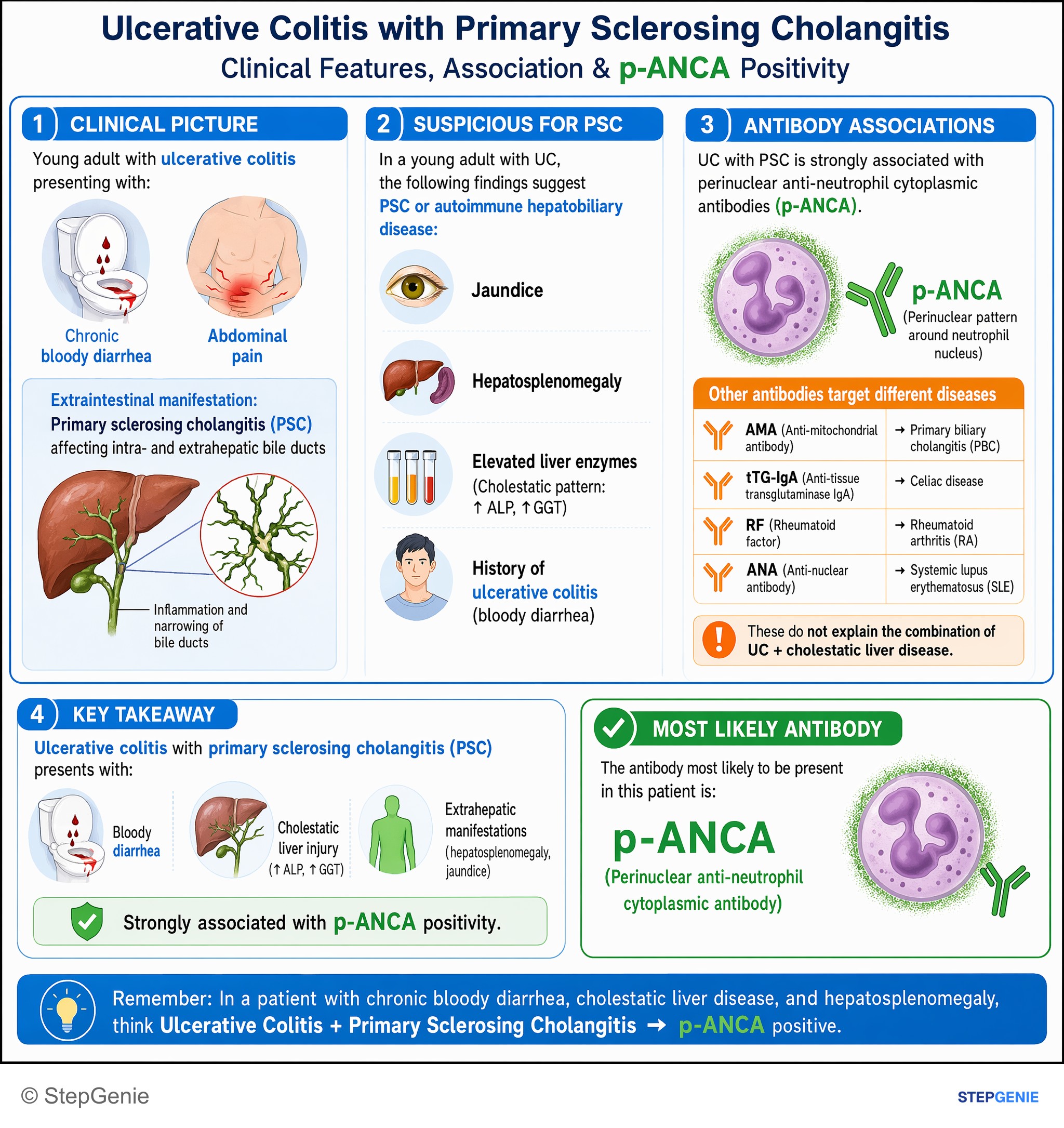 Autoimmune disorders — StepGenie USMLE Step 1 explanation infographic