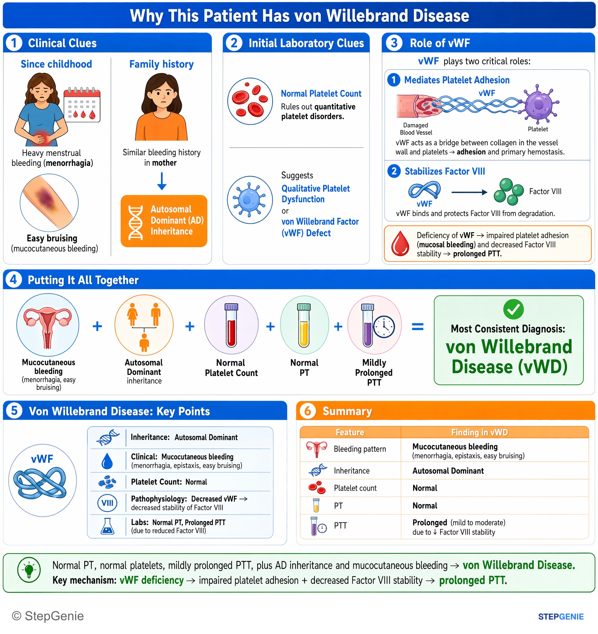 Bleeding disorders — StepGenie USMLE Step 1 explanation infographic