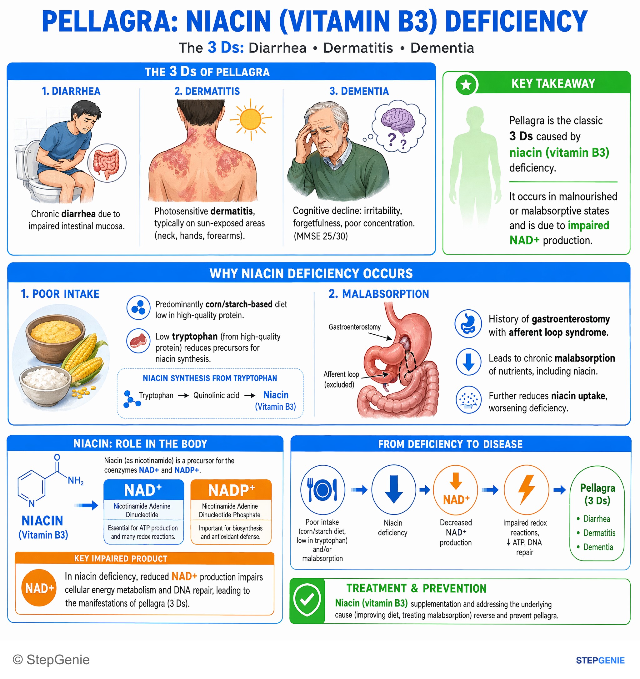Disorders of nutrition — StepGenie USMLE Step 1 explanation infographic