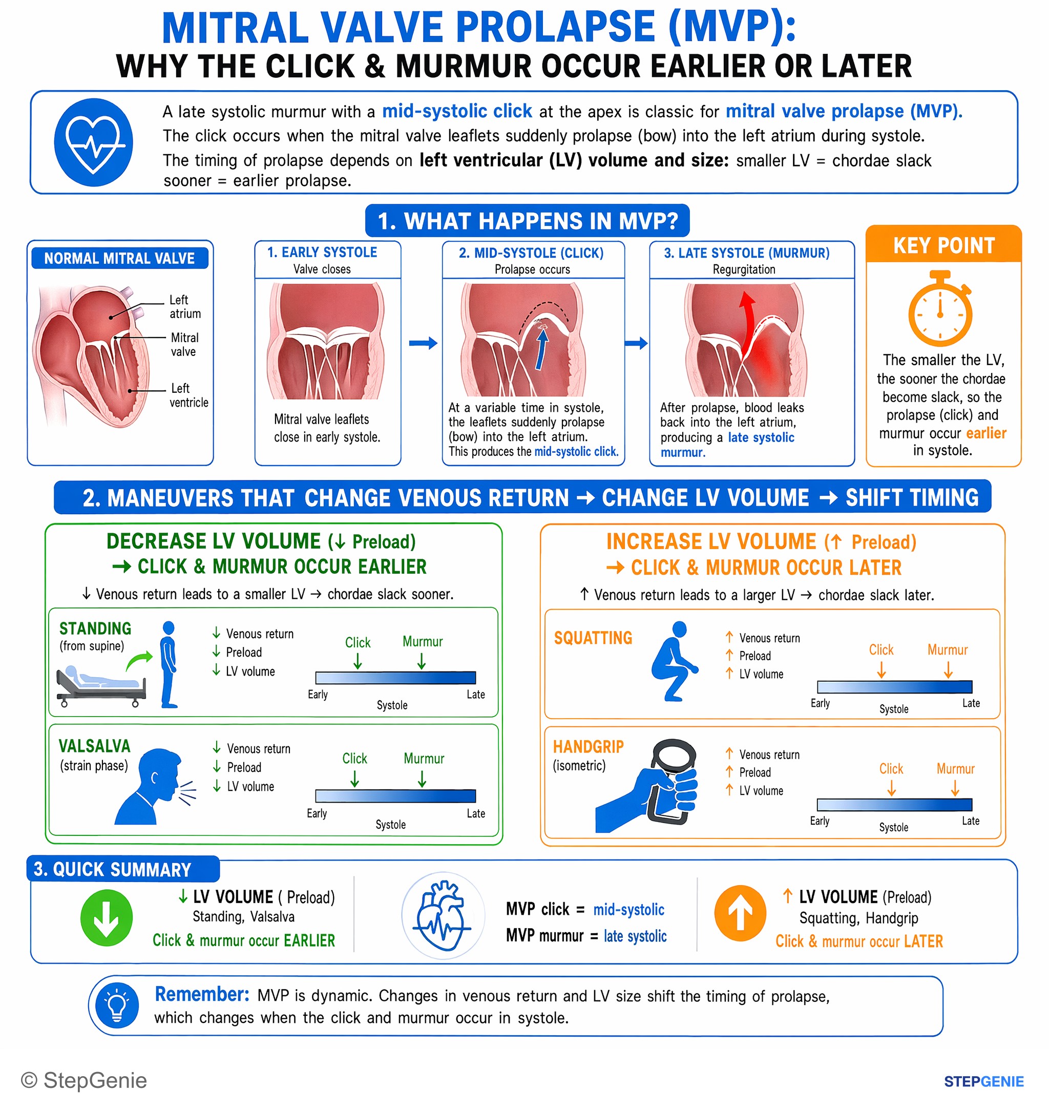Murmurs — StepGenie USMLE Step 1 explanation infographic