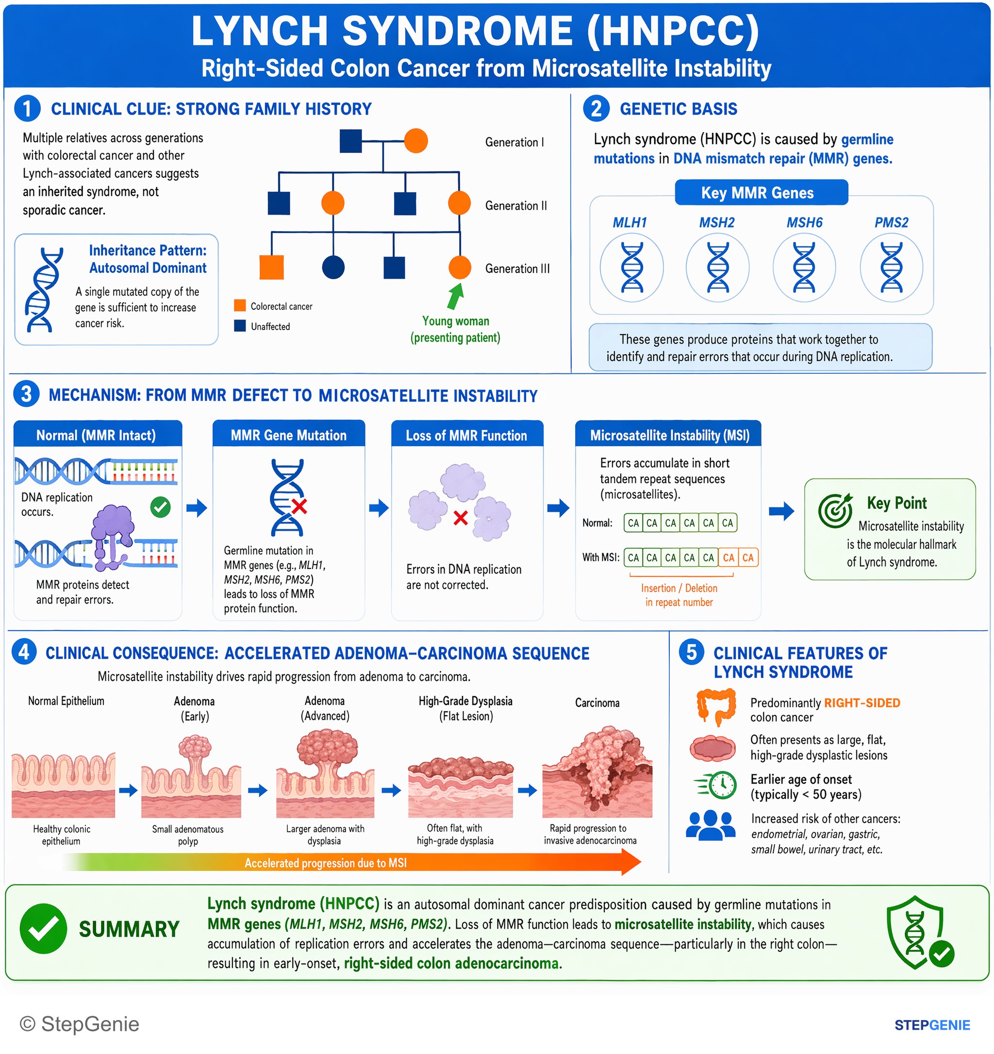 Tumors/Malignancy of the GI tract — StepGenie USMLE Step 1 explanation infographic