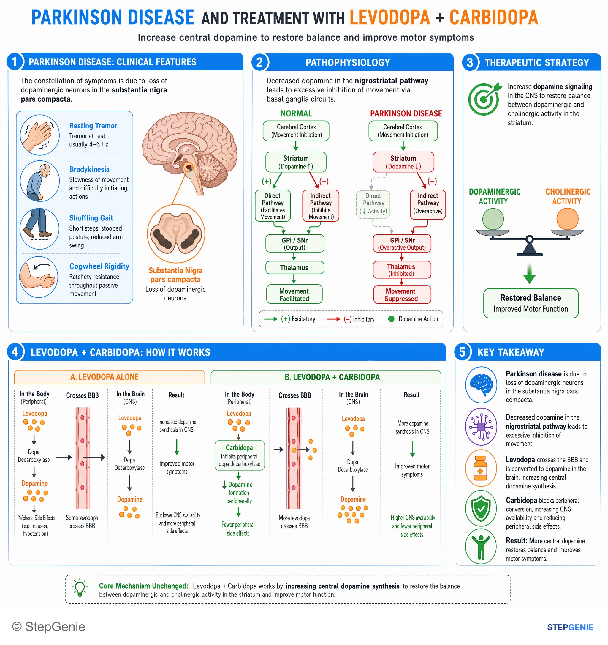 Drug effects / Toxic neuropathies — StepGenie USMLE Step 1 explanation infographic