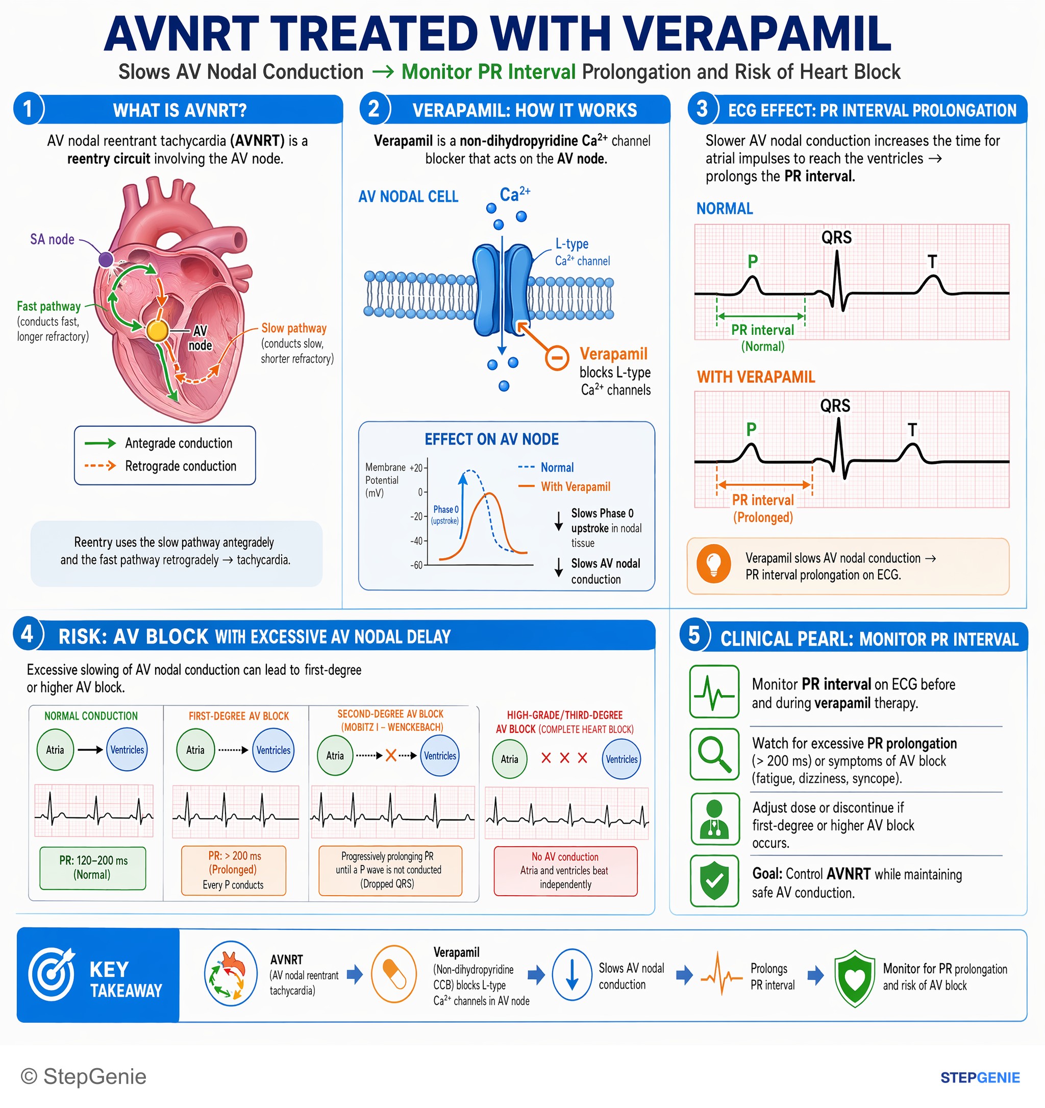 Cardiovascular drugs — StepGenie USMLE Step 1 explanation infographic
