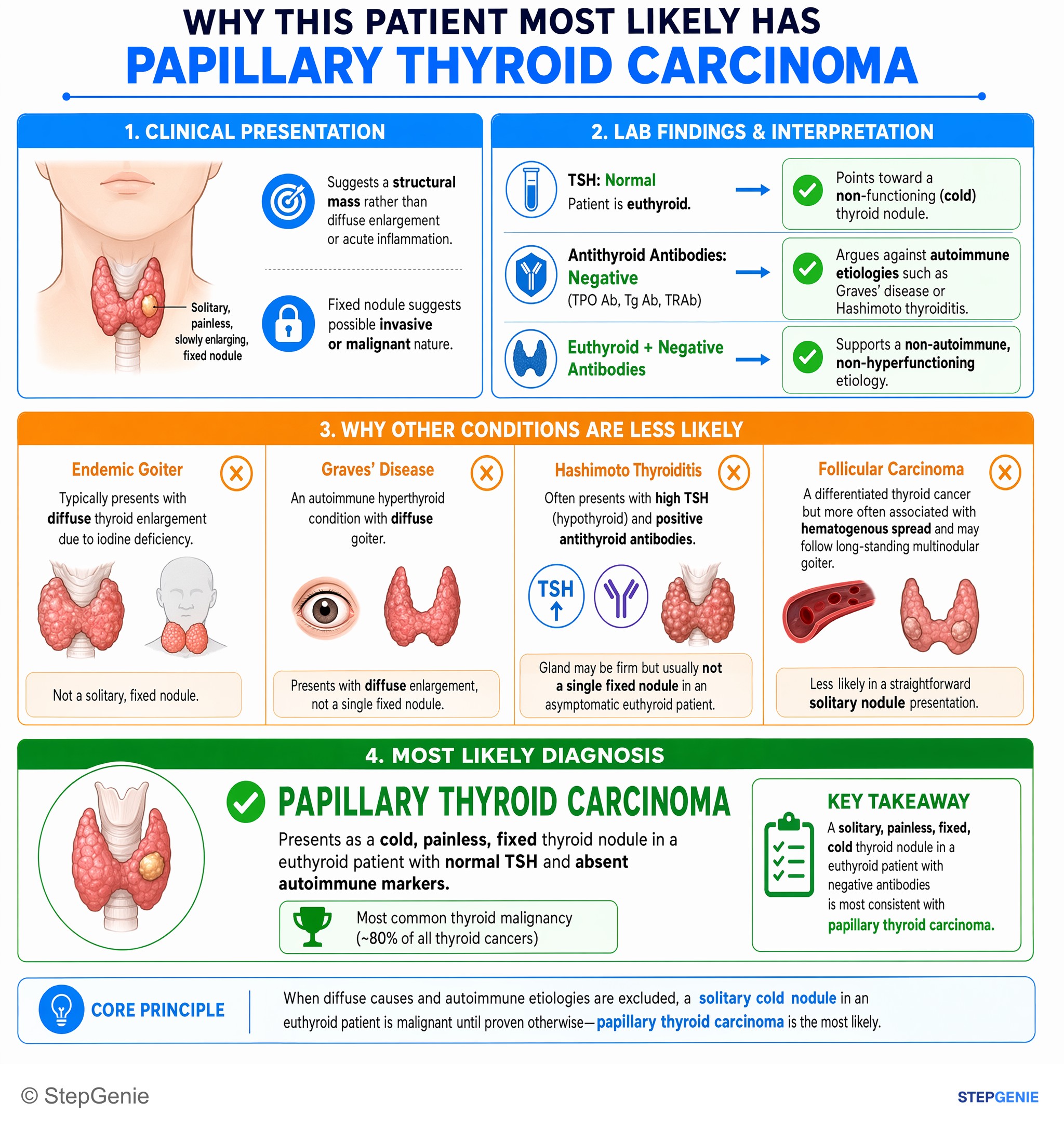 Thyroid disorders — StepGenie USMLE Step 1 explanation infographic