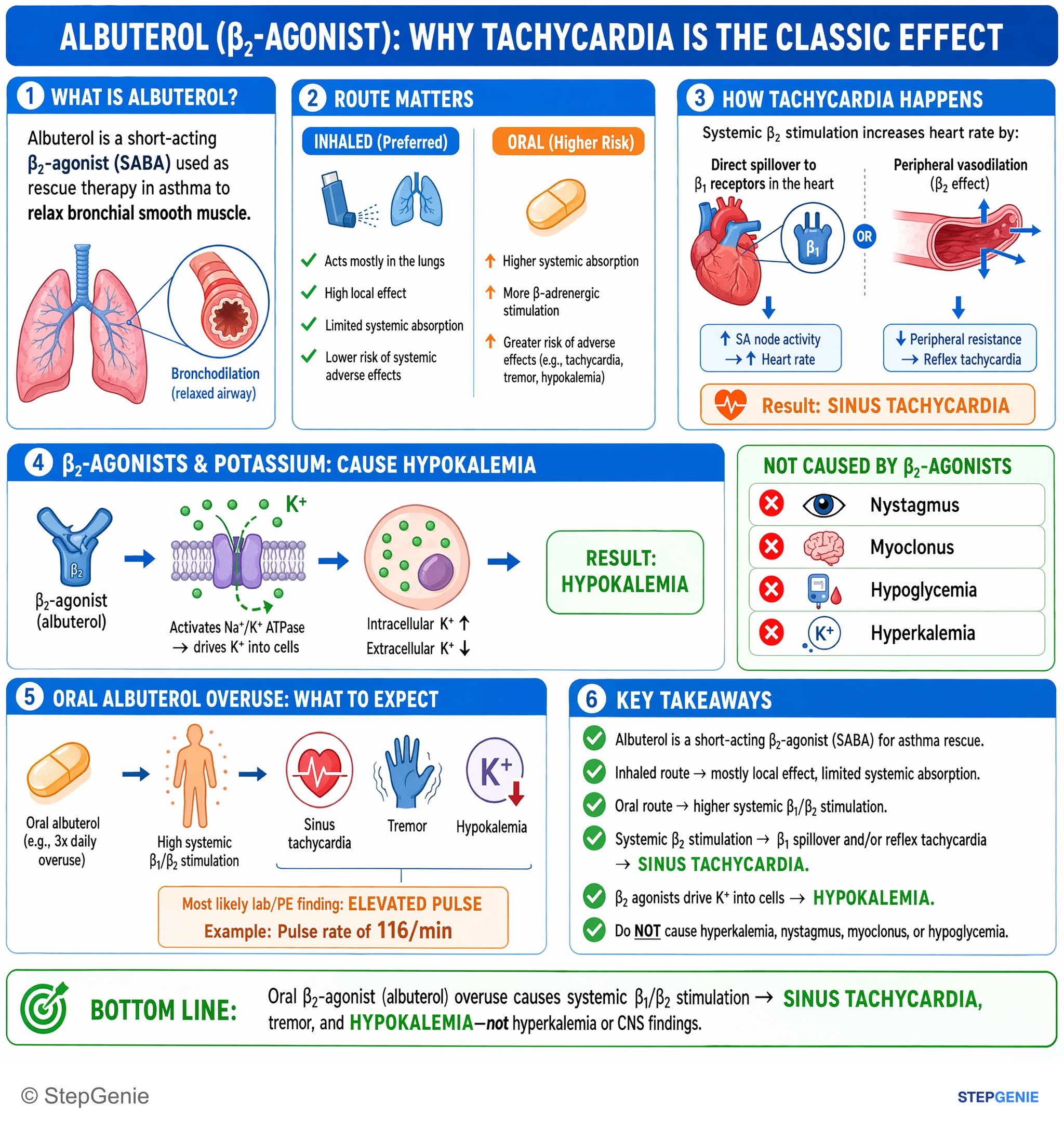 Obstructive lung disease — StepGenie USMLE Step 1 explanation infographic