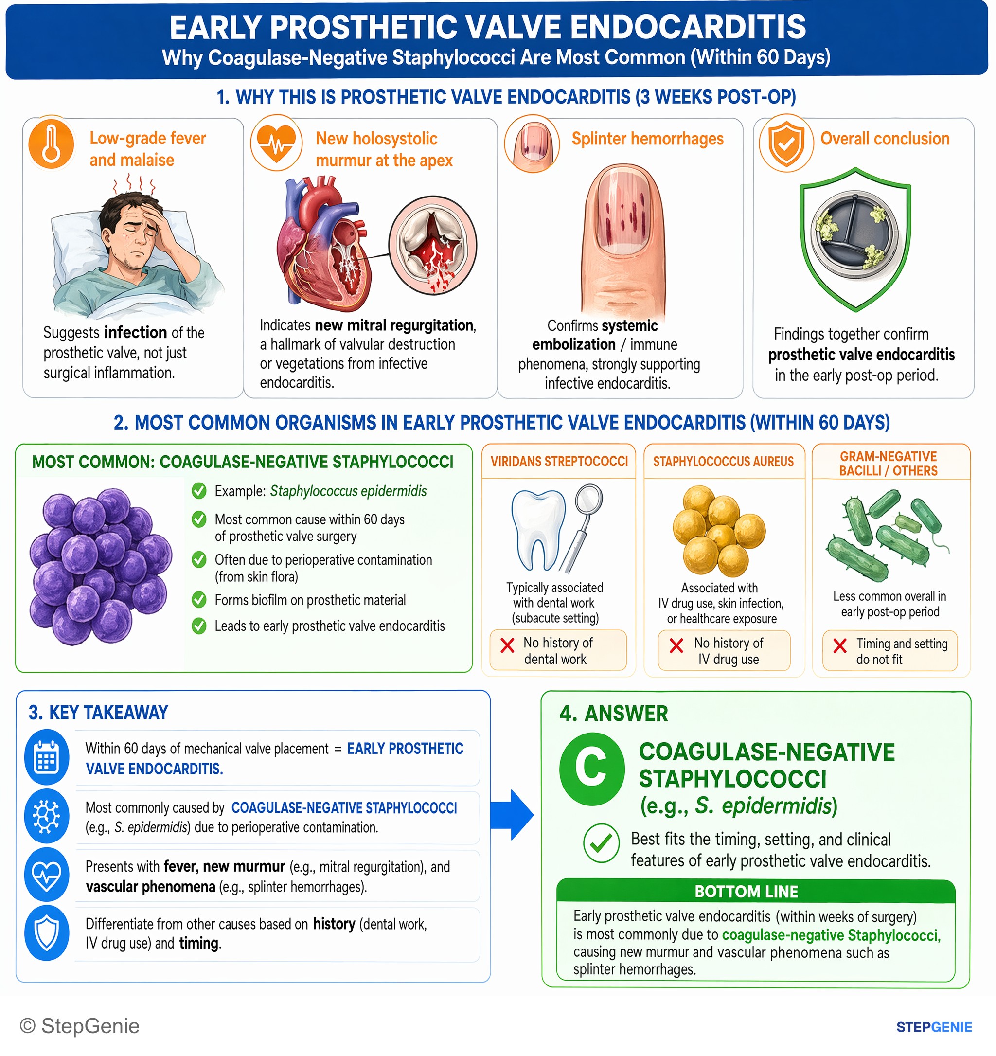 Bacterial infections — StepGenie USMLE Step 2 explanation infographic